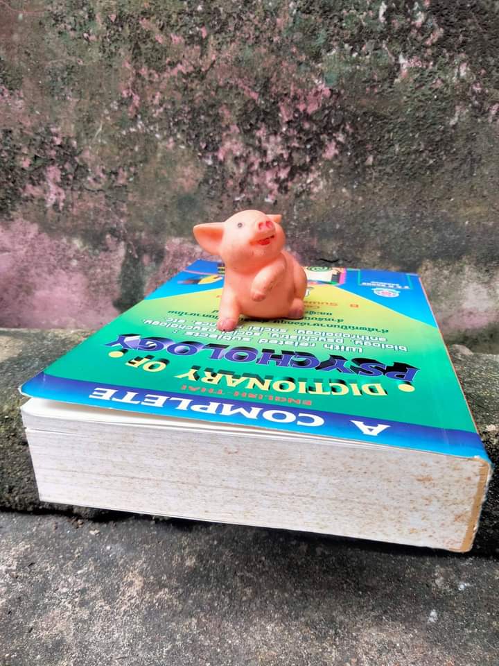 พจนานุกรมจิตวิทยาฉบับสมบูรณ์ Dictionary Psychology ฉบับ อังกฤษ-ไทย