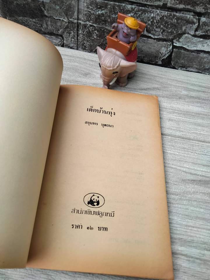 เด็กบ้านทุ่ง เรื่องราวของชีวิตเด็กชนบท