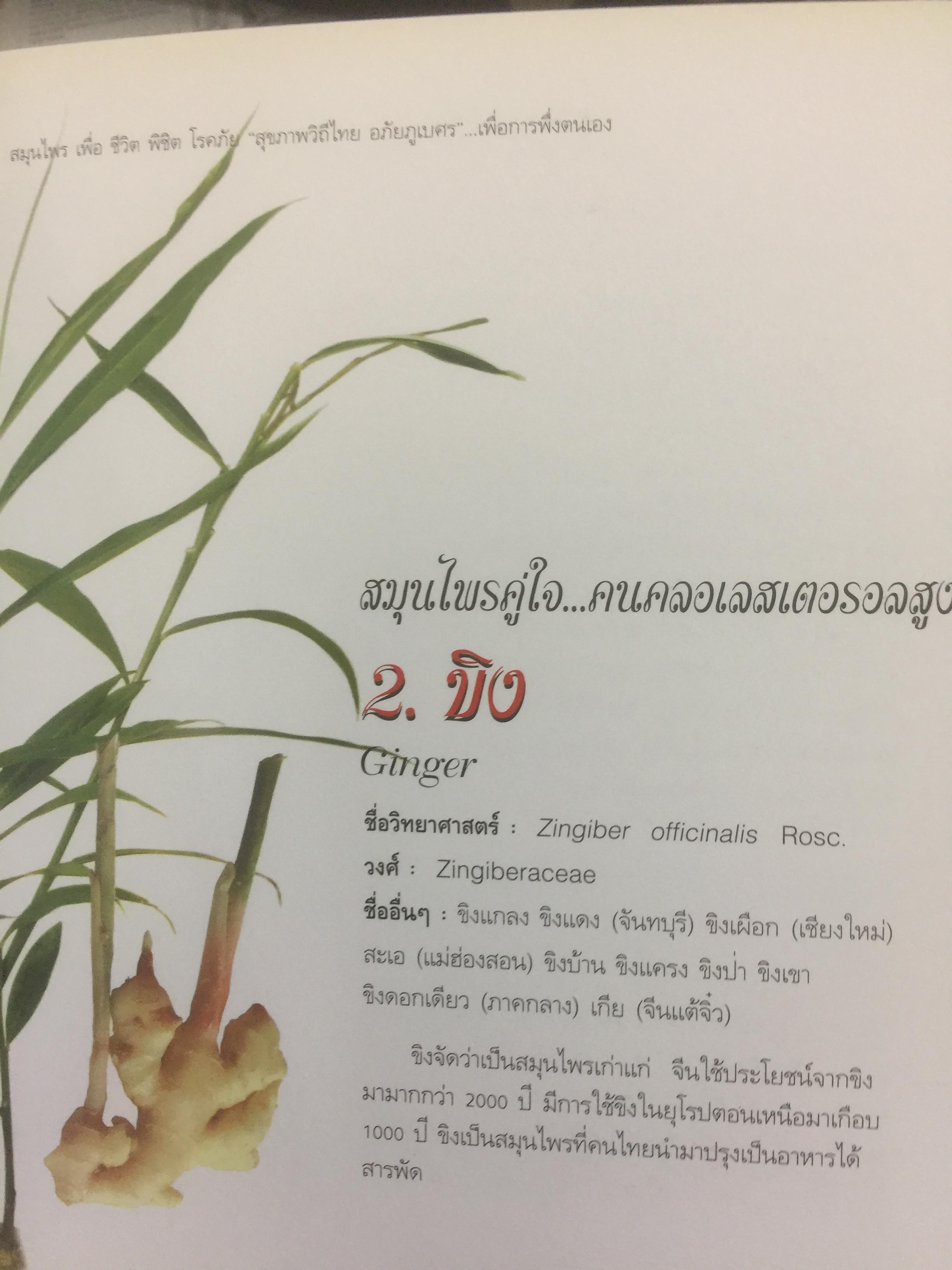 สมุนไพร เพื่อชีวิตพิชิตโรคภัย. สุขภาพวิถีไทย อภัยภูเบศร เพื่อการพึ่งตนเอง 0 กก.