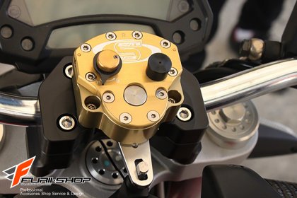 ขากันสะบัด RSV FOR DUCATI MONSTER795/796