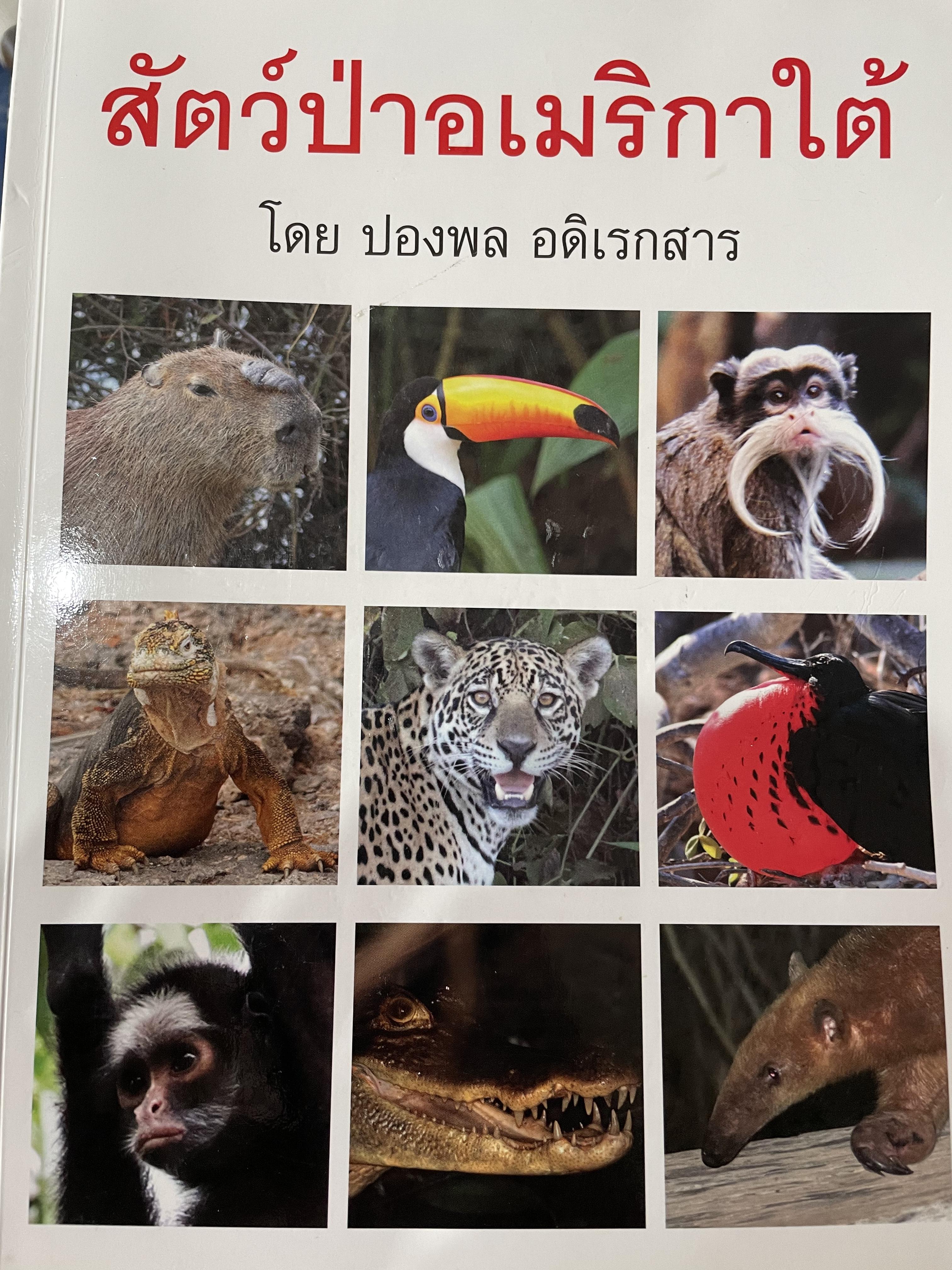 สัตว์ป่าอเมริกาใต้ โดย ปองพล อดิเรกสาร 0 กก.