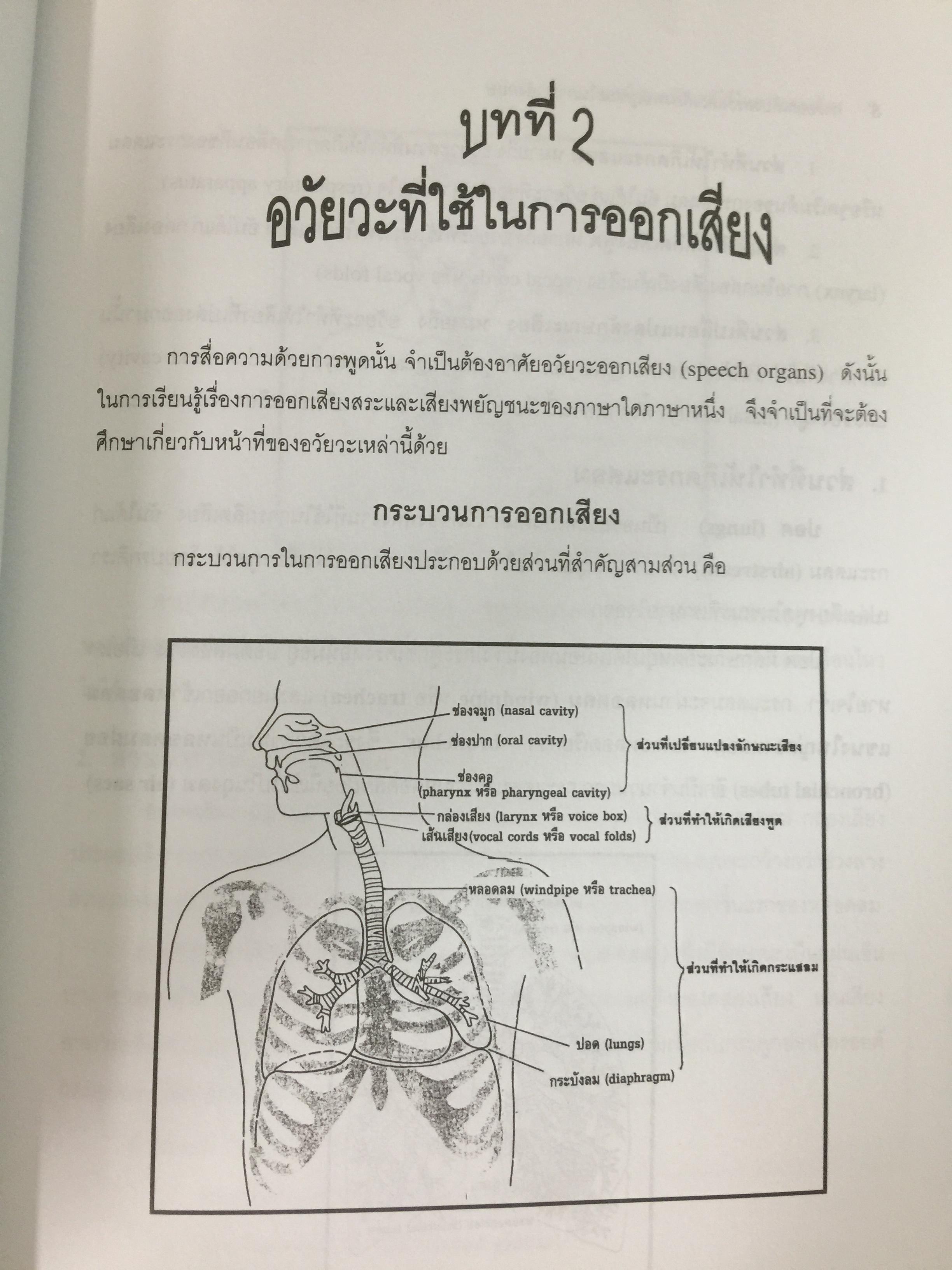 การออกเสียงสระและเสียงพยัญชนะในภาษาอังกฤษ (ไม่มีแผ่นซีดีรอม) ผู้เขียน ปรารมภ์ โชติกเสถียร 0 กก.