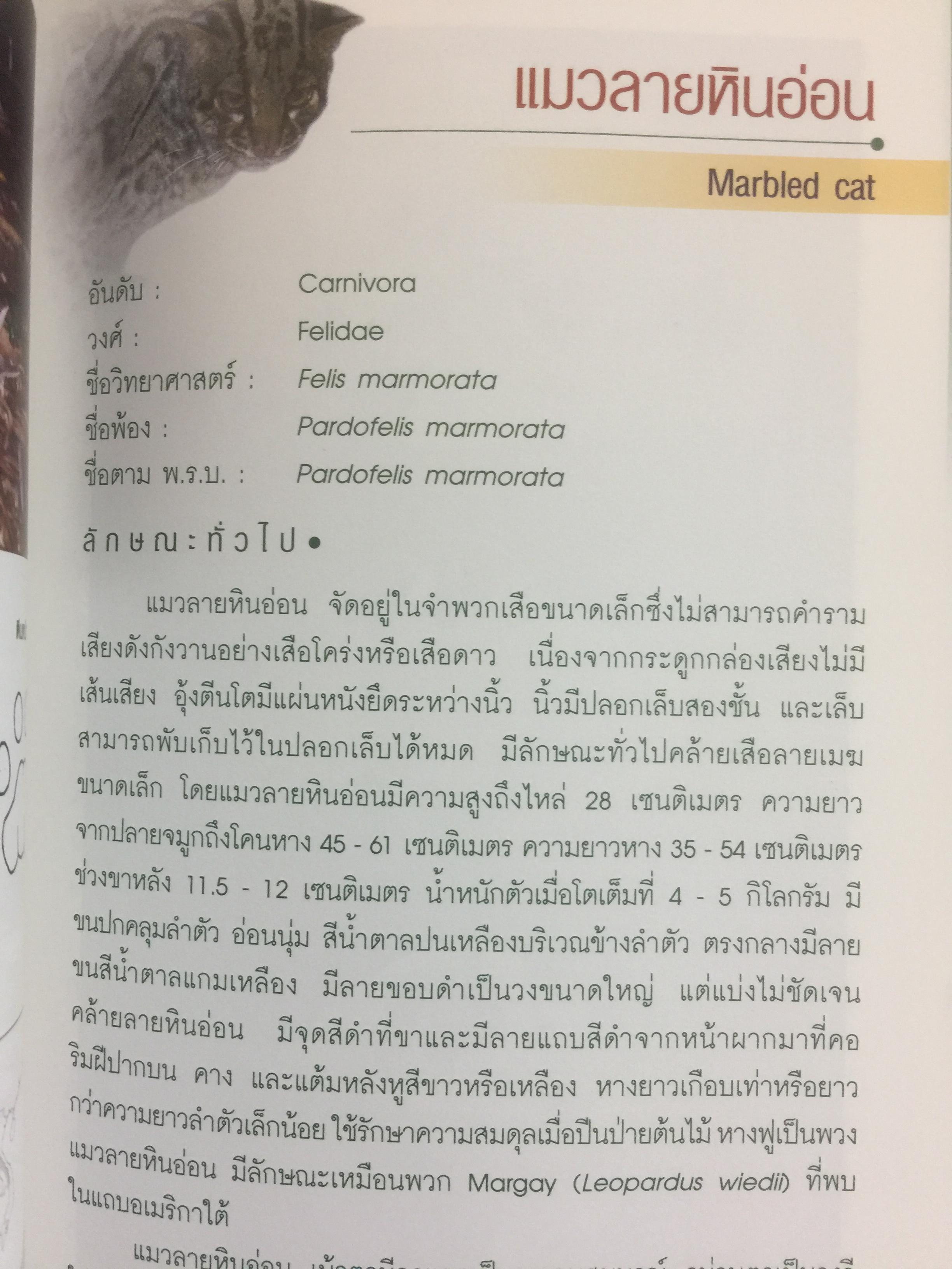 สัตว์ป่าสงวนในประเทศไทย Reserved Animals of Thailand 0 กก.