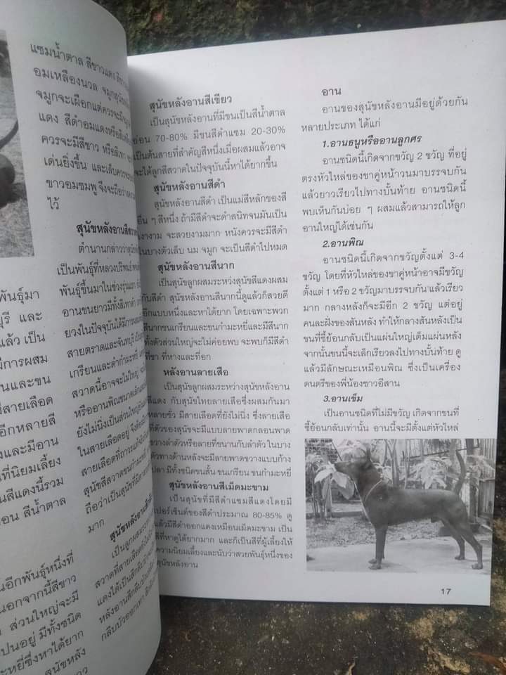 คู่มือการเลี้ยงมะหมาน่ารัก เล่ม 1-2