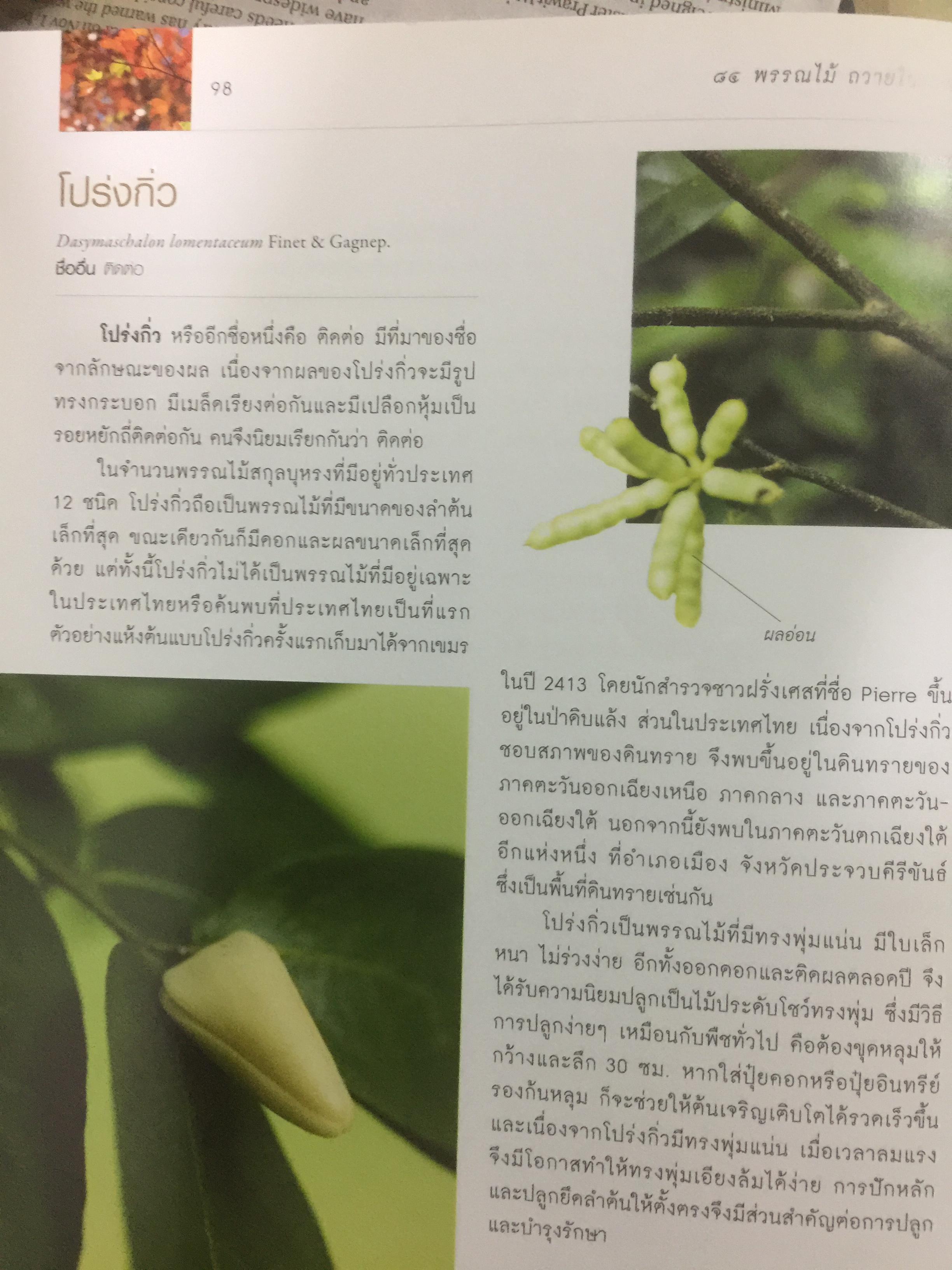 84 พรรณไม้ถวายในหลวง โครงการปลูกป่าถาวรเฉลิมพระเกียรติ จัดทำโดย บริษัท กสท โทรคมนาคม จำกัด (มหาชน) 0 กก.