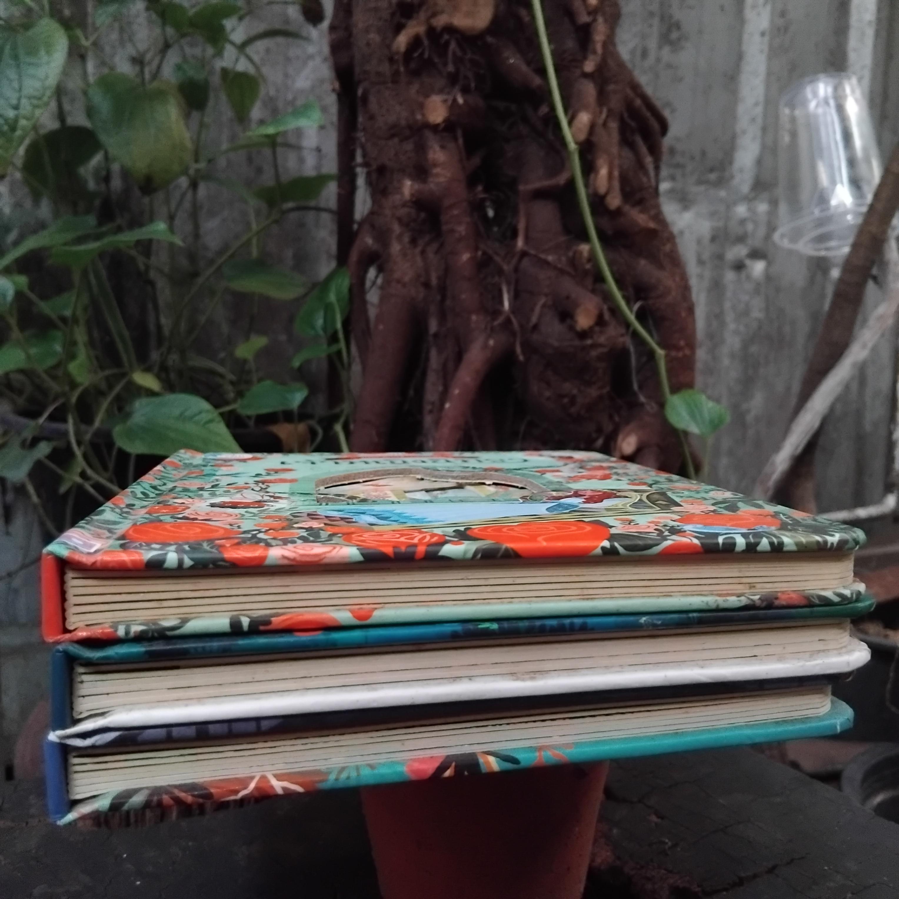 นิทานภาพแบบ Lift-the-Flap พลิกเปิดแสนสนุก มือ1 ภาพสวยมากๆครับ