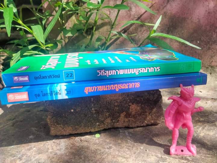 วิถีสุขภาพแบบบูรณาการ และ สุขภาพแบบบูรณาการ ประสานศาสตร์ พุทธ เต๋า โยคะ