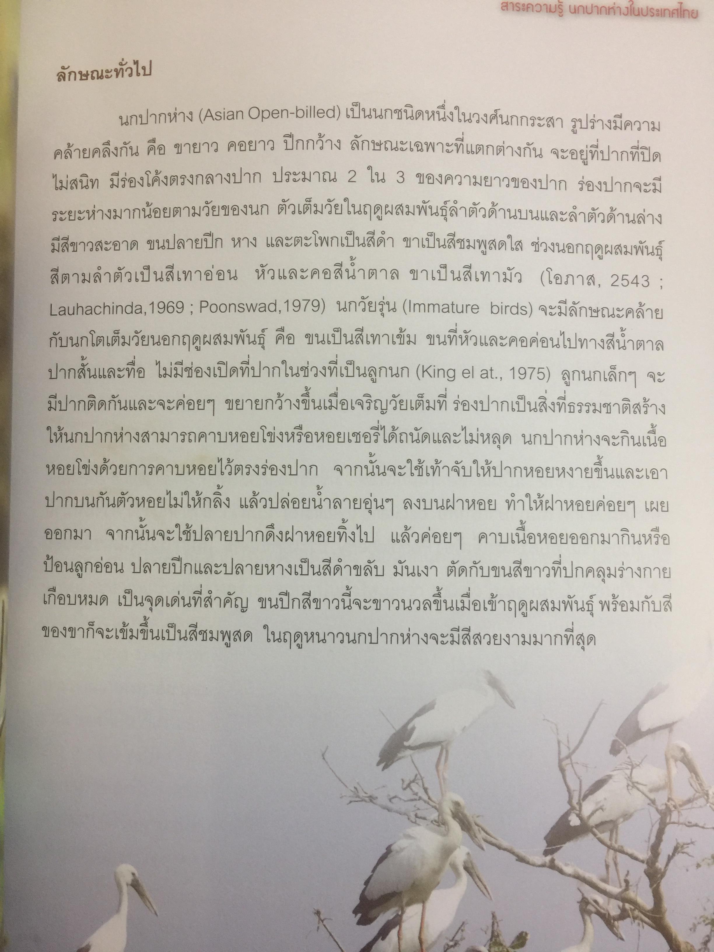 สาระความรู้ นกปากห่าง ในประเทศไทย. ผู้เขียน ไกรรัตน์ เอี่ยมอำไพและคณะ 0 กก.