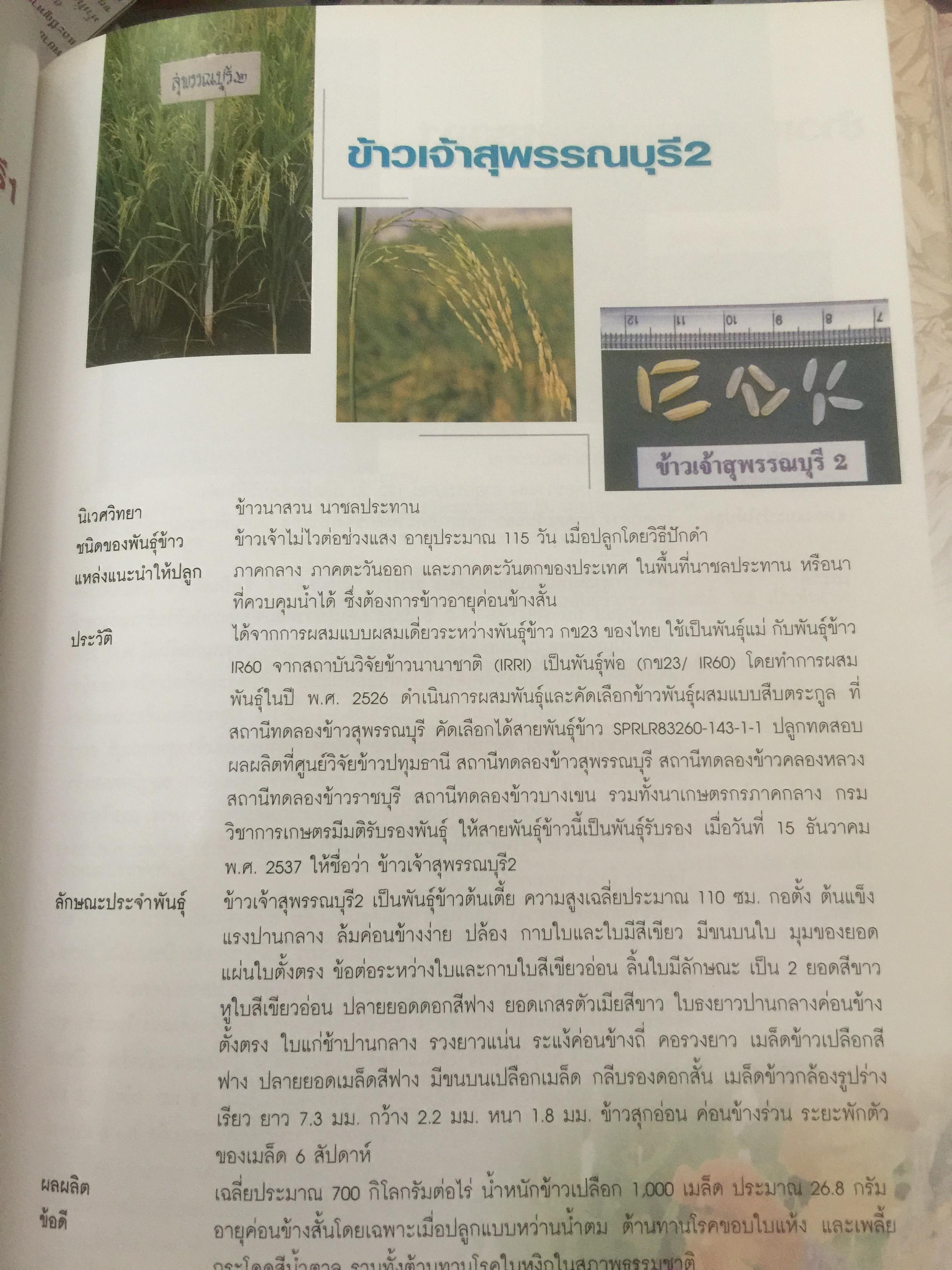 วิวัฒนาการพันธุ์ข้าวไทย. สถาบันวิจัยข้าวไทย กรมวิชาการเกษตร 0 กก.