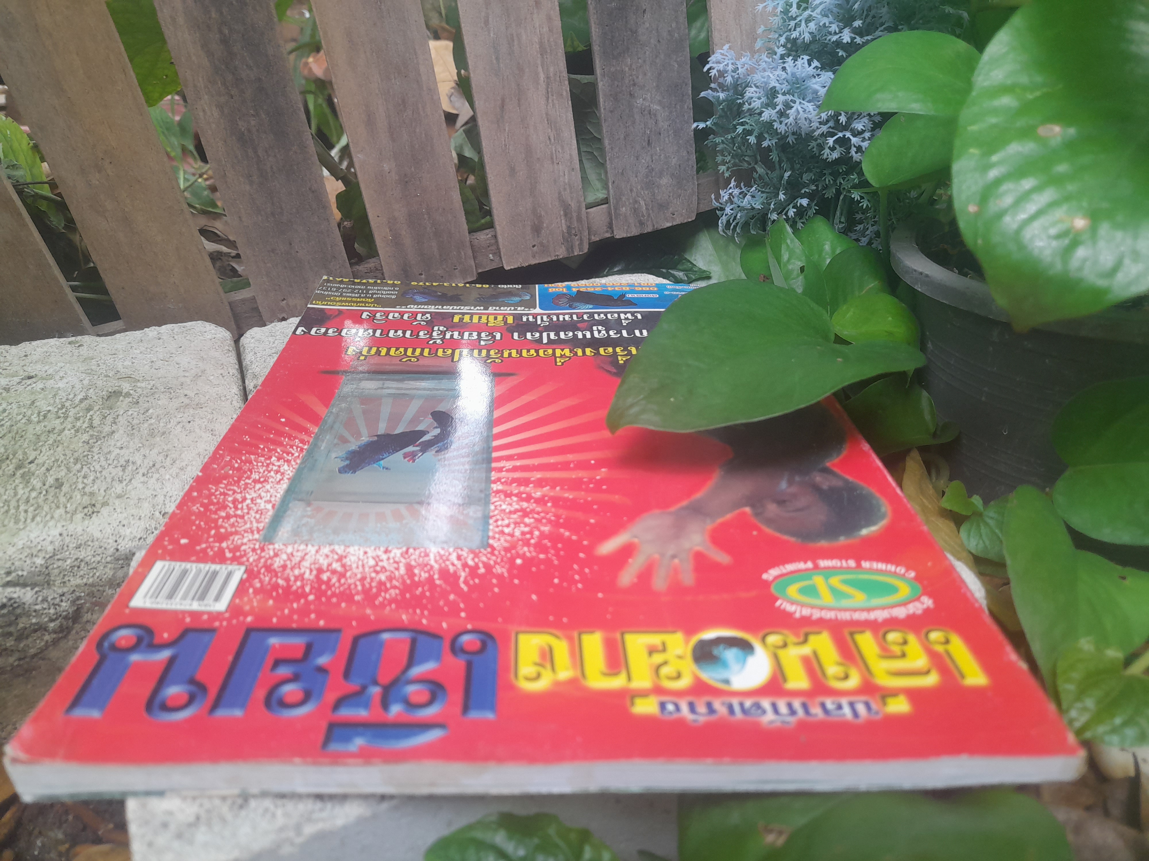 ปลากัดเก่ง เล่นอย่างเซียน โดย รัตนชัย ม่วงงาม (เปี๊ยก ปลากัด) หนังสือเพื่อคนรักปลากัดเก่ง