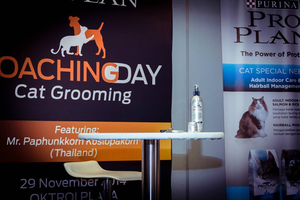 COMPLETED GROOMING SOLUTION