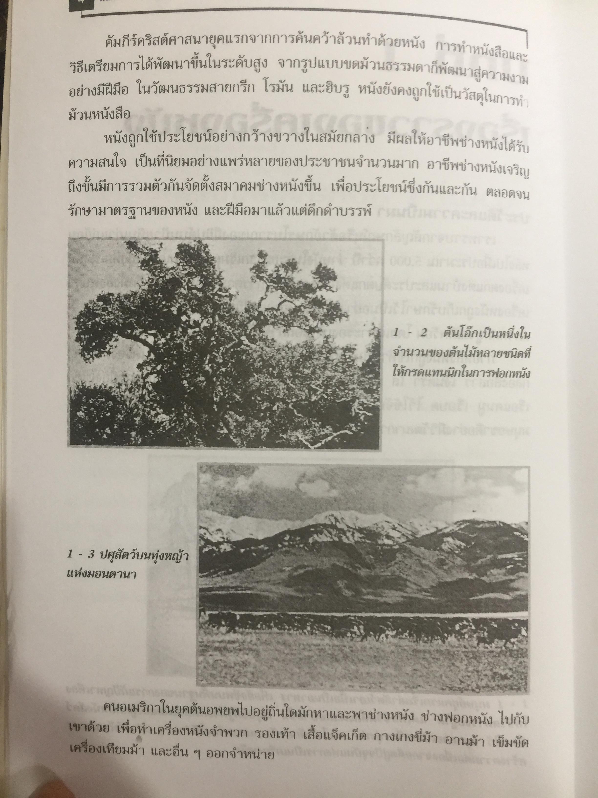 เครื่องหนังพื้นฐาน. ผู้เขียน ประสพ ลี้เหมือดภัย 0 กก.