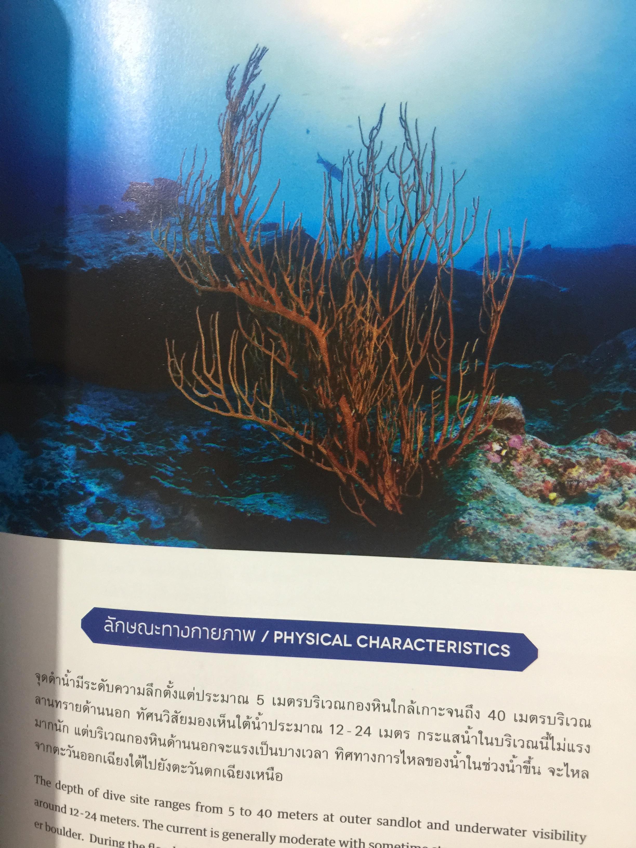 แหล่งดำน้ำที่สำคัญในประเทศไทย. DIVING ATTRACTIONS IN THAILAND 0 กก.