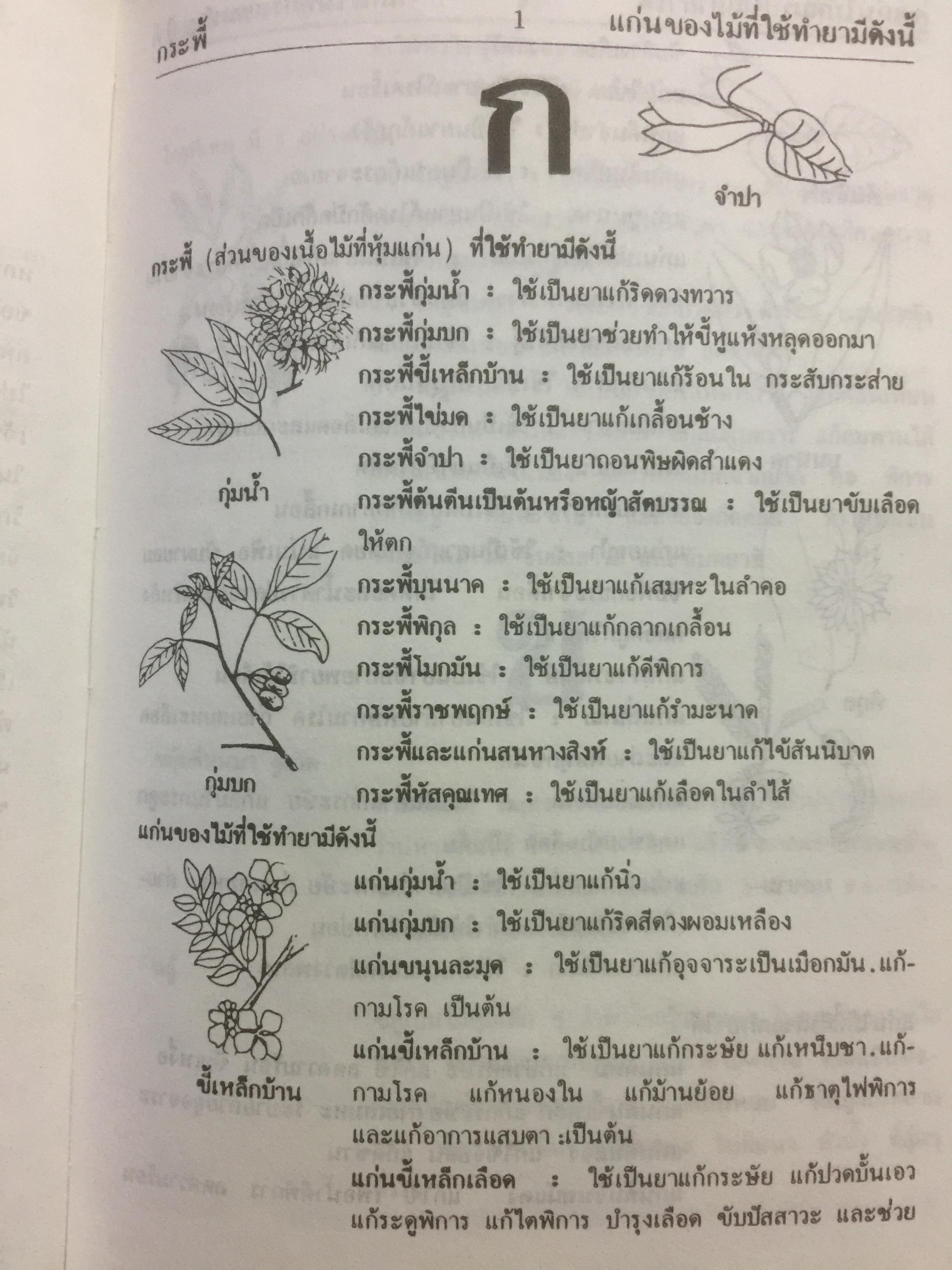 พจนานุกรม สมุนไพรไทย.(ฉบับสรรพคุณยาไทย) โดย ดร.วิทย์ เที่ยงบูรณธรรม 0 กก.