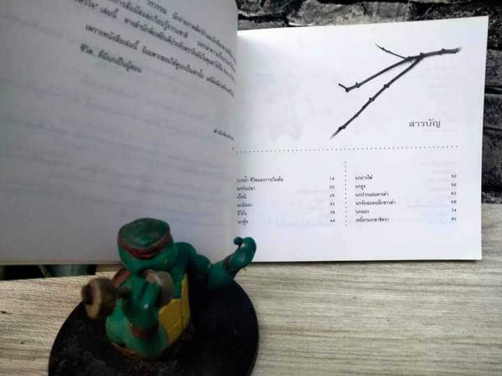 นก ดวงตาและหัวใจ ของ ม.ล.ปริญญากร วรวรรณ