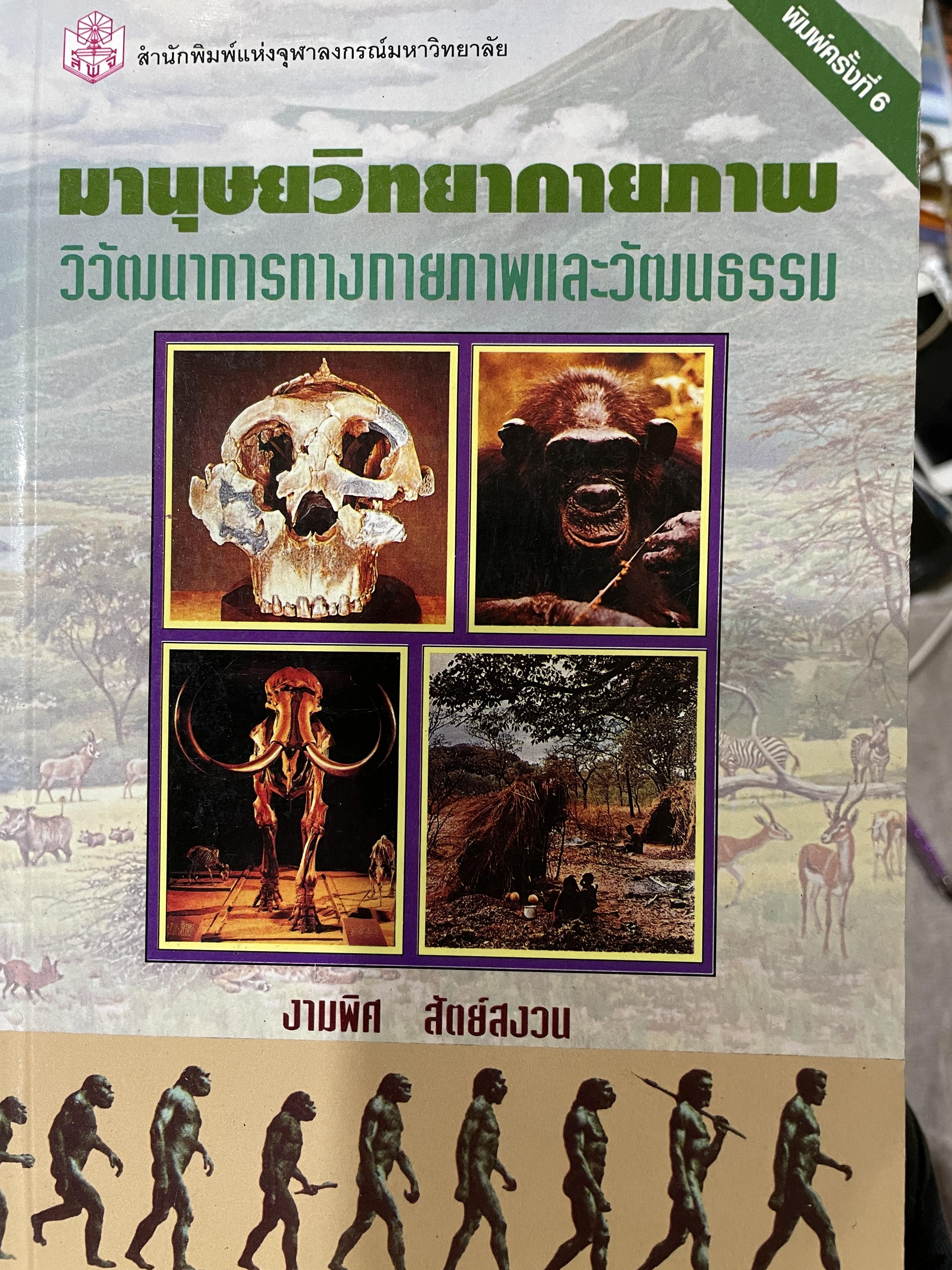 มานุษยวิทยากายภาพ วิวัฒนาการทางกายภาพและวัฒนธรรม ผู้เขียน งามพิศ สัตย์สงวน 2,009 กรัม