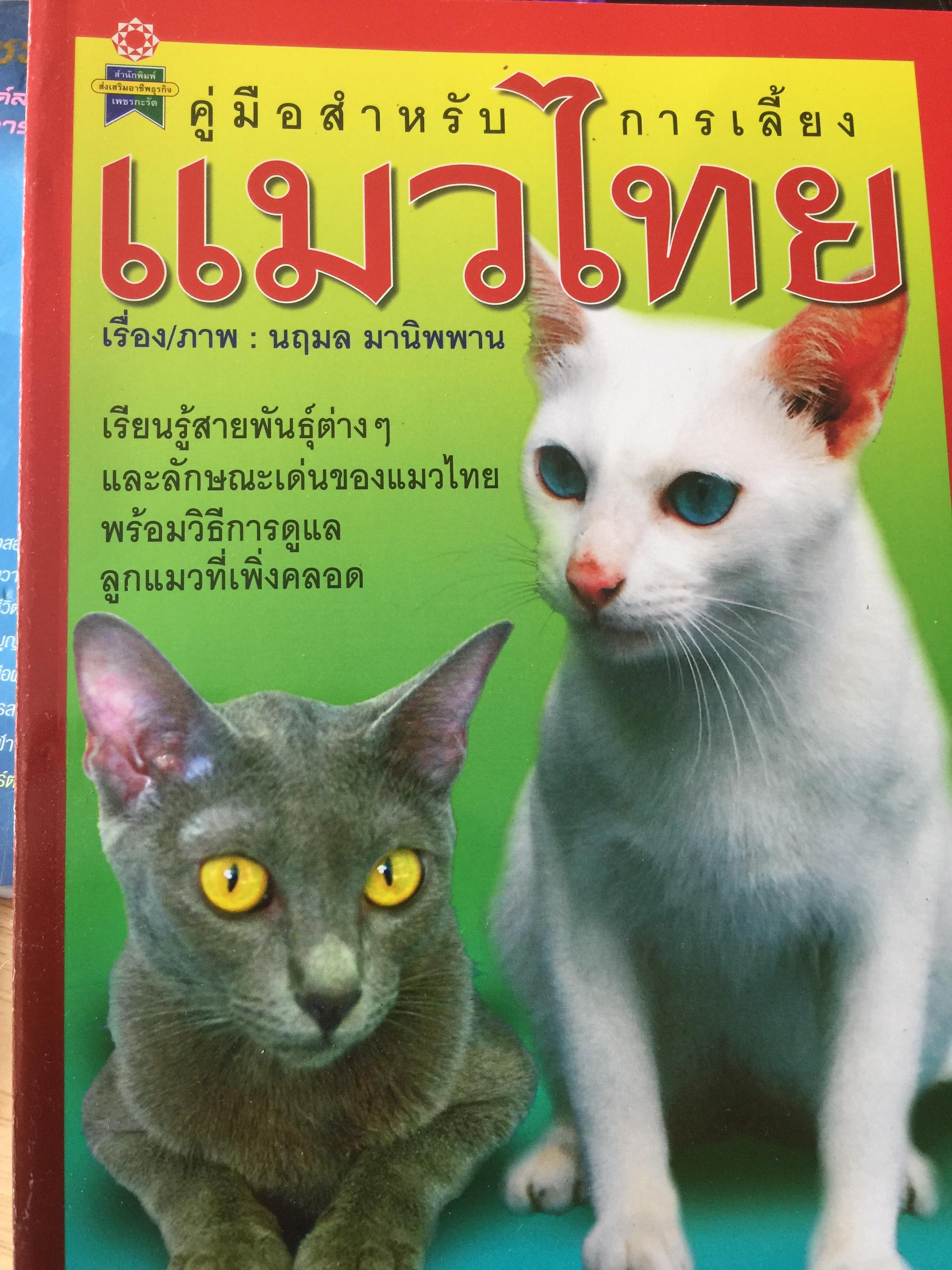 แมวไทย. คู่มือสำหรับการเลี้ยงแมวไทย. เรียนรู้สายพันธุ์ต่างฯ และลักษณะเด่นของแมวไทย พร้อมวิธีการดูแลลูกแมวที่เพิ่งคลอด 400 กรัม