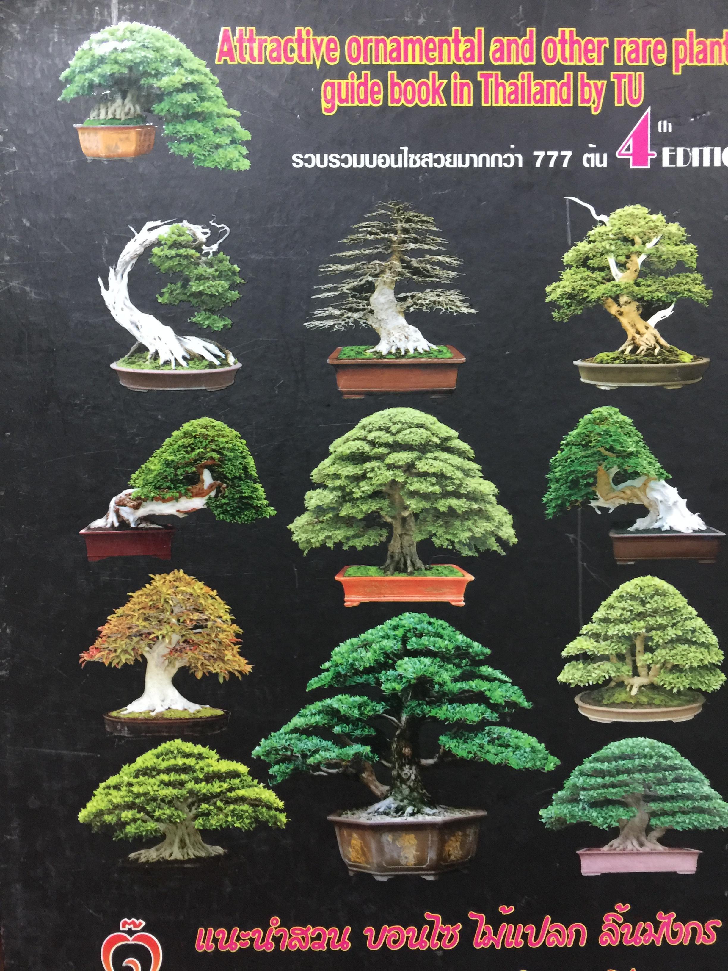 แนะนำสวน บอนไซ ไม้แปลก ลิ้นมังกร ไม้ด่าง มากกว่า 149 สวนในประเทศไทย 0 กก.