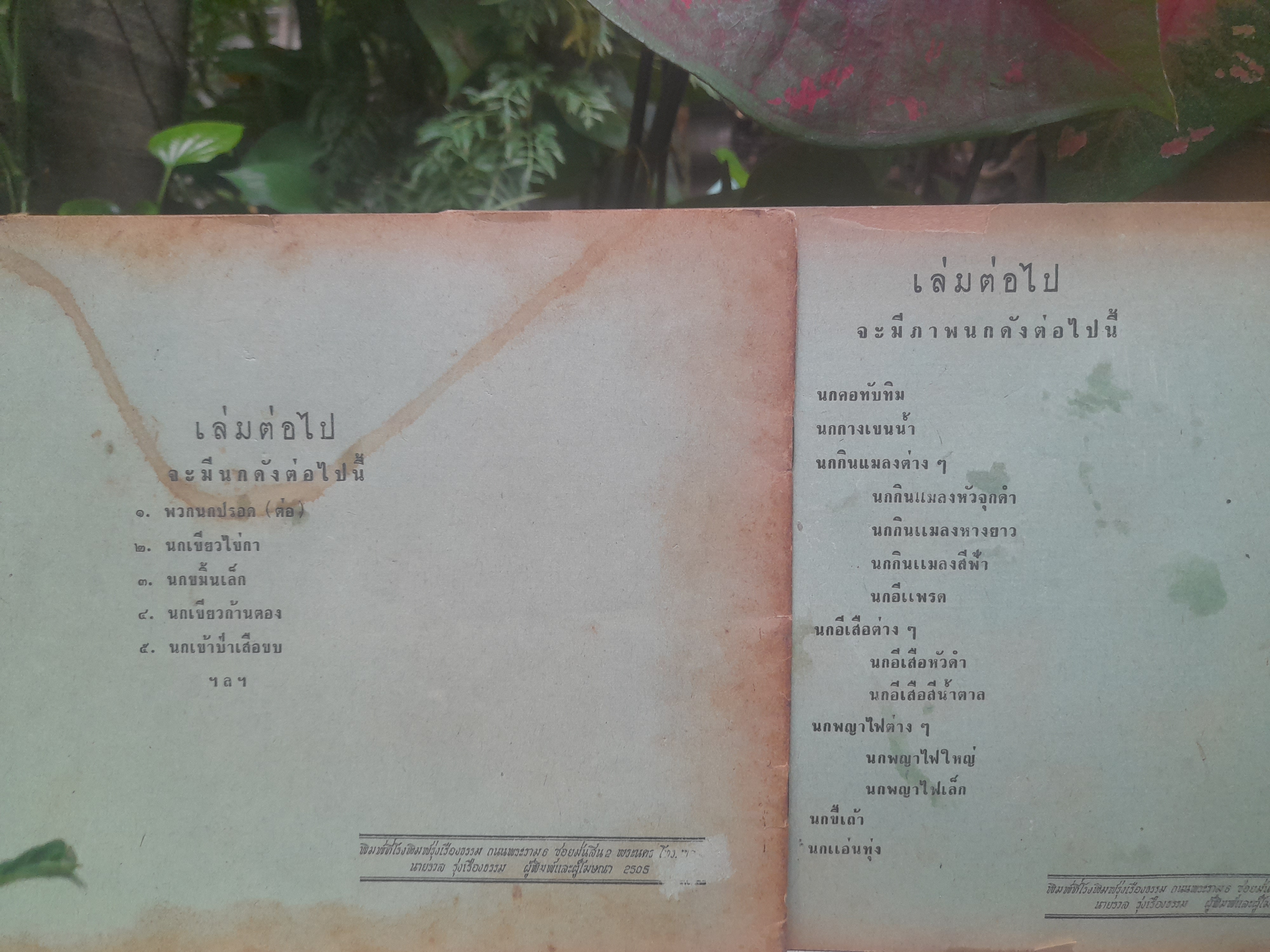 หนังสือภาพนก ของหมอบุญส่ง นกในตระกูลกาและปรอด หนังสือหายาก มีค่าน่าสะสม