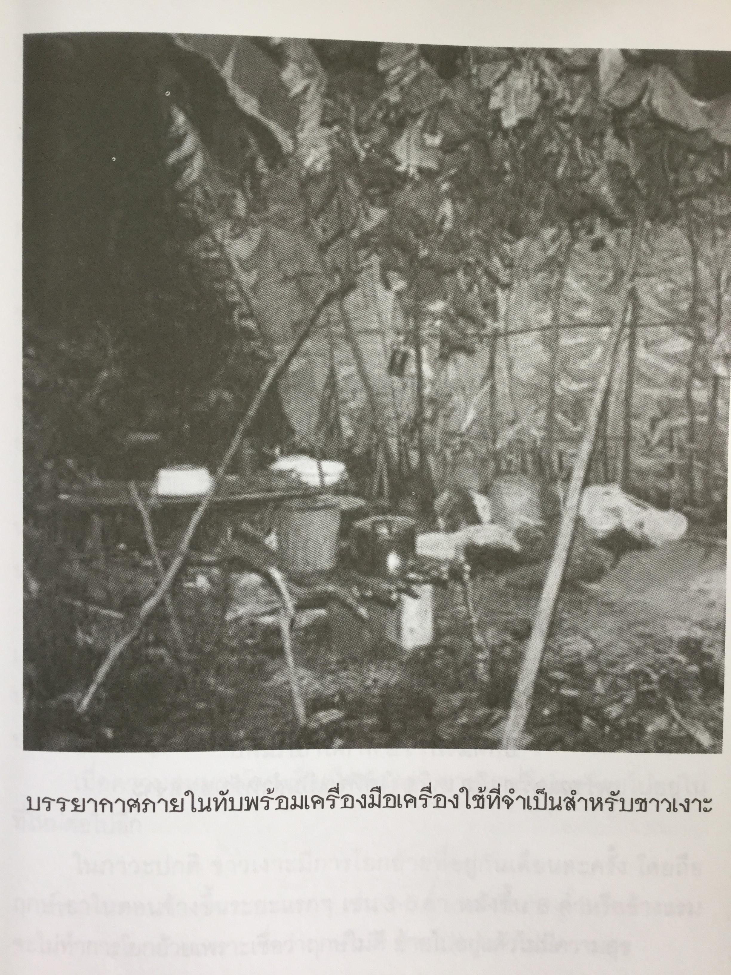 เงาะป่า-ซาไก "นิเชา" เมืองไทย ชนป่าที่กำลังสูญสลาย. ผู้เขียน วันเฉลิม จันทรากุล 700 กรัม