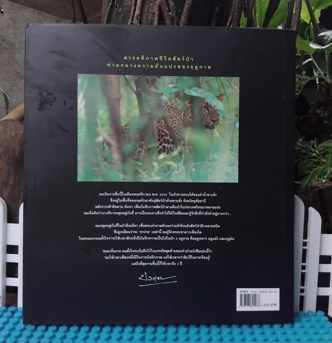 ชีพจรไพร SPIRIT OF THE JUNGLE โดย ม.ล.ปริญญากร วรวรรณ สารคดีภาพชีวิตสัตว์ป่า มือ1 ปกแข็งสภาพดี