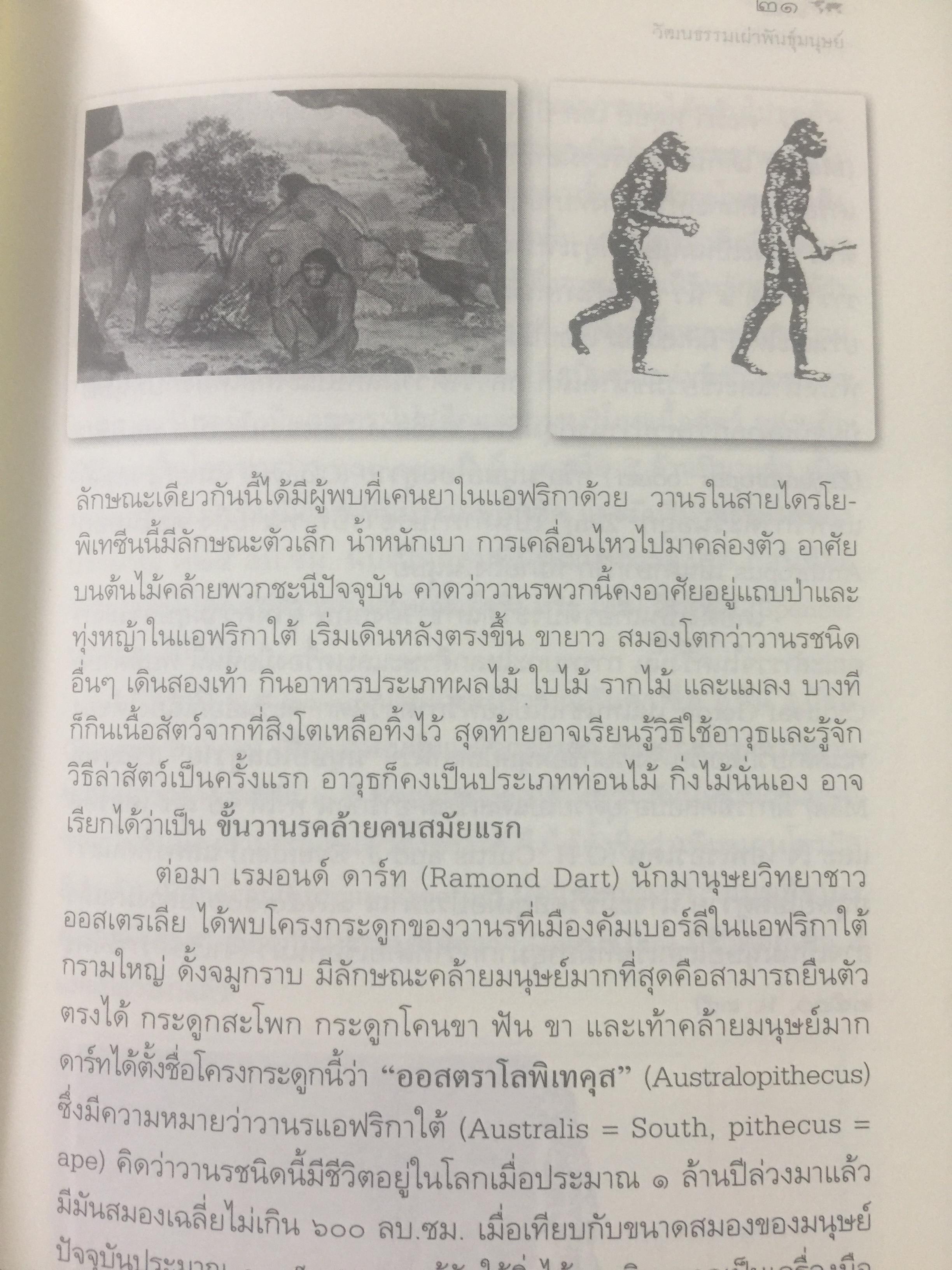 วัฒนธรรม เผ่าพันธุ์มนุษย์. ผู้เขียน บุญยงค์ เกศเทศ 0 กก.