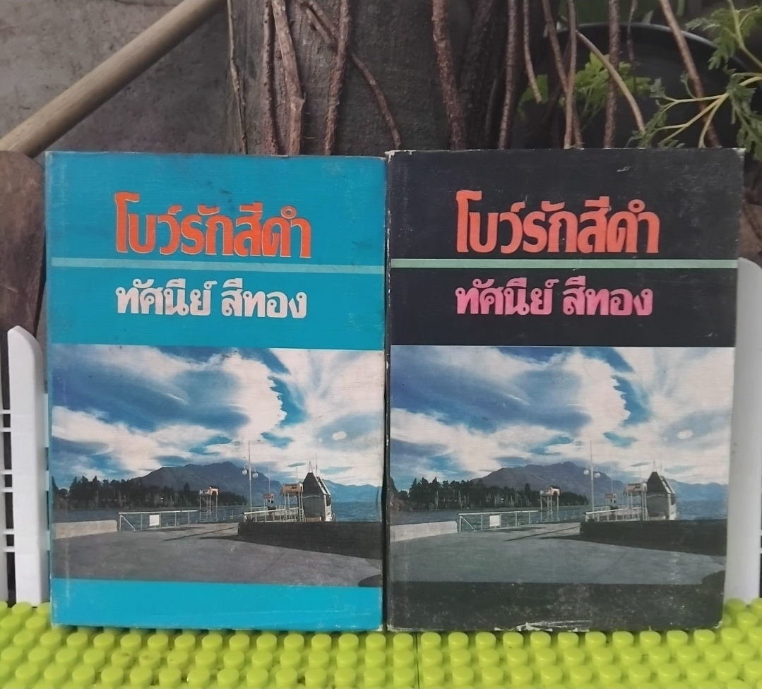 รวมผลงานของ ทัศนีย์ สีทอง นวนิยายไทย หนังสือมือ 1 ทุกเล่ม ไม่มีตำหนิ