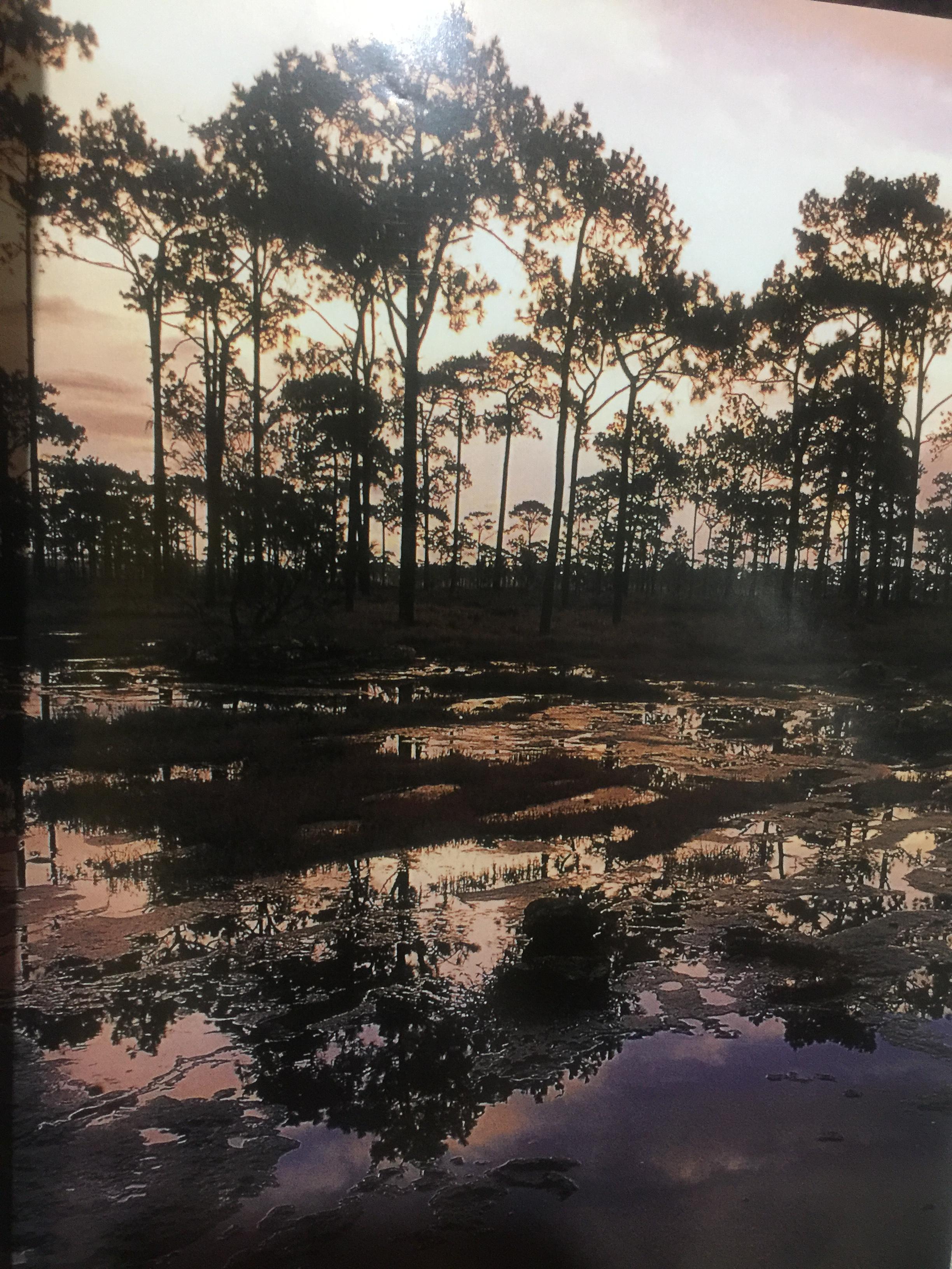 ภูกระดึง ตำนานแห่งภูภาคอีสาน จัดทำโดย การท่องเที่ยวแห่งประเทศไทย 0 กก.