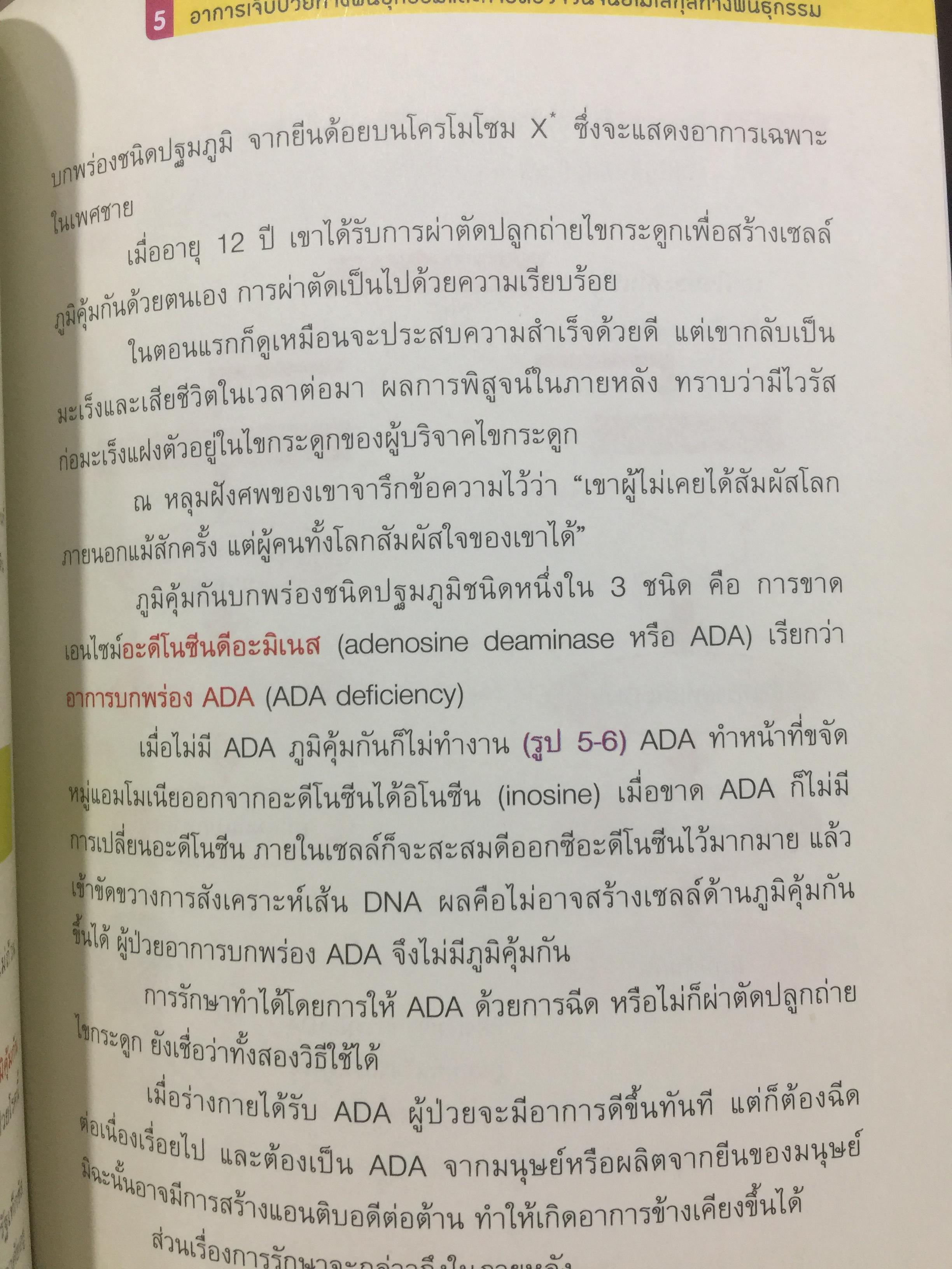 DNA ฉบับการ์ตูน. ความรู้พื้นฐานเรื่อง DNA. RNA สารพันธุกรรมในร่างกายมนุษย์ ฉบับอ่านสนุก เข้าใจง่าย อ่านสนุก โดย Satoshi. Ikuta. แปลและเรียบเรียงโดย รศ.ดร.ศักดา ดาดวง 0 กก.
