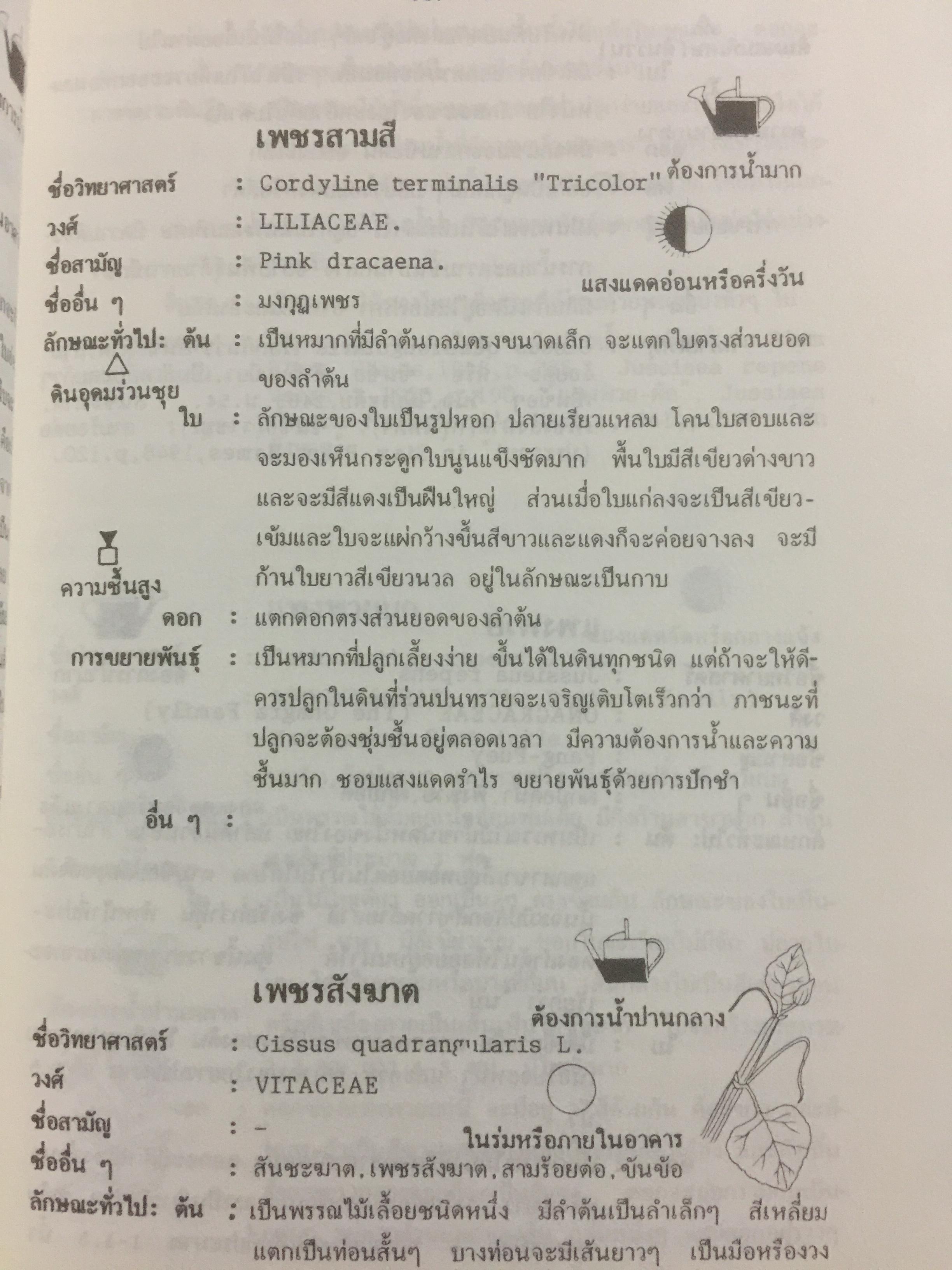 พจนานุกรม ไม้ดอกไม้ประดับในประเทศไทย. ผู้เขียน ดร.วิทย์ เที่ยงบูรณธรรม 0 กก.
