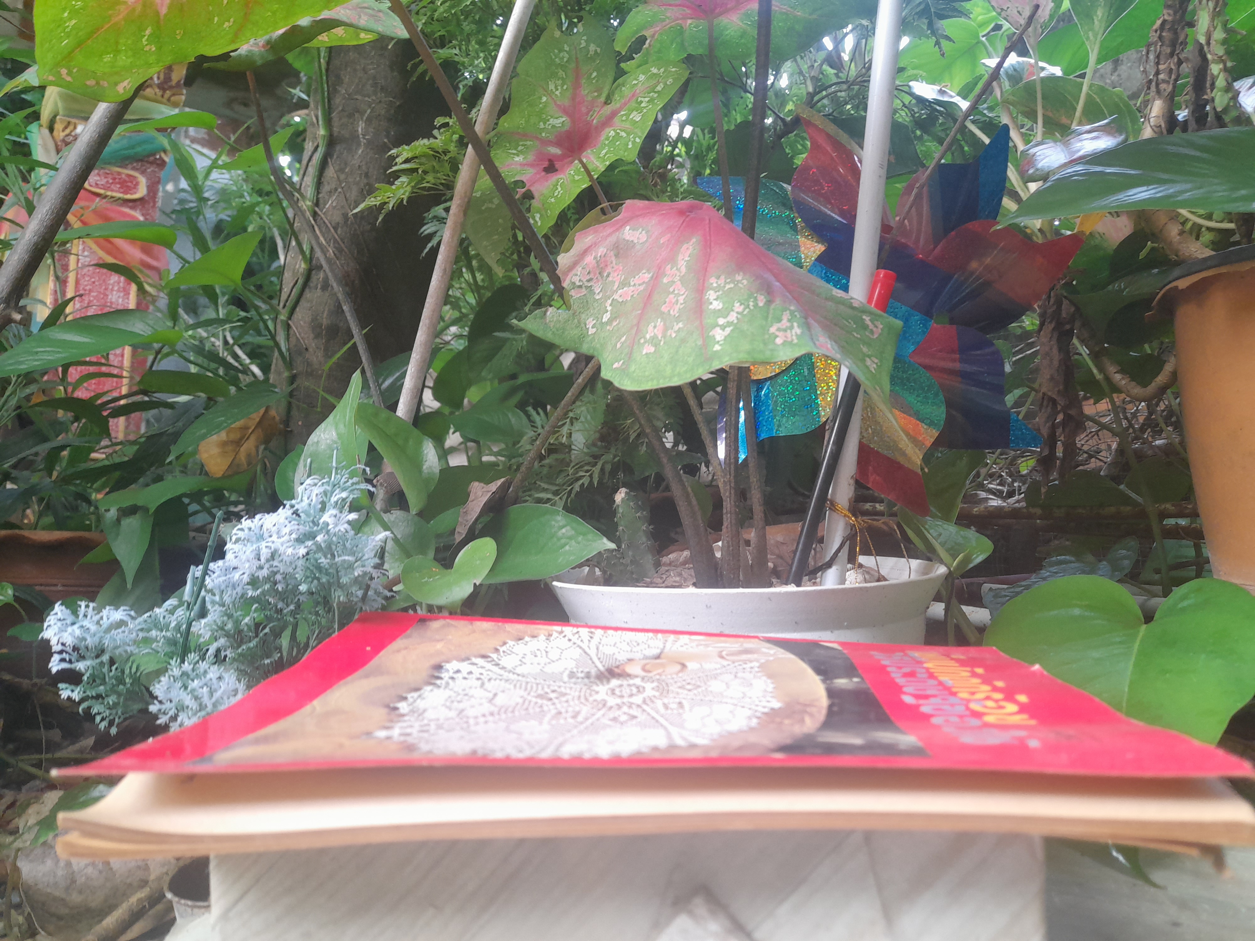 หนังสือเย็บปักถักร้อย และ วิธีประดิษฐ์ของใช้ โดย ดรรชนี