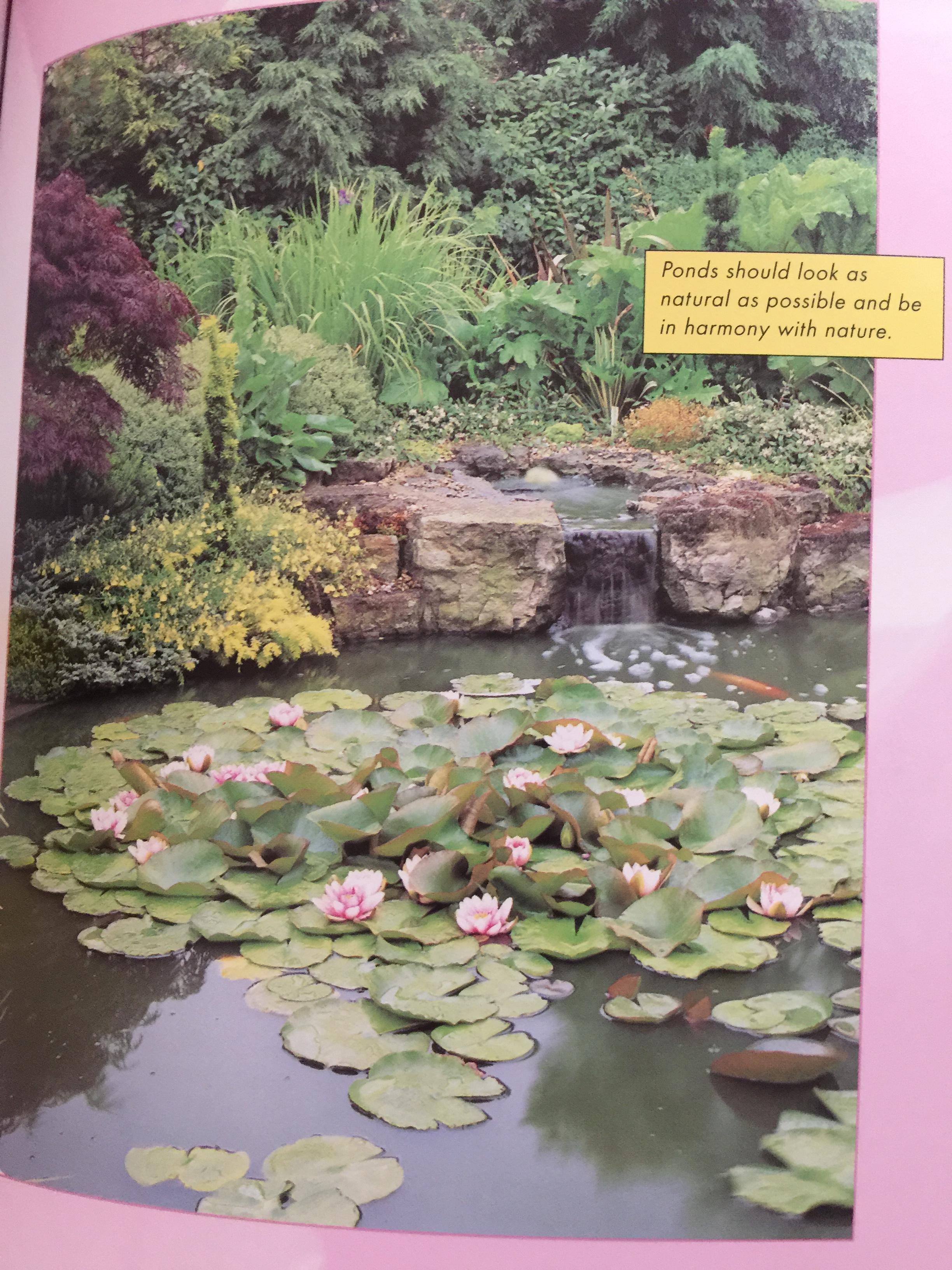 FENG SHUI. FOR THE GARDEN. A PRACTICAL AND EASY TO USE GUIDE TO THE ART OF. FENG. SHUI. IN THE GARDEN ผู้เขียน Jonathan Dee 0 กก.