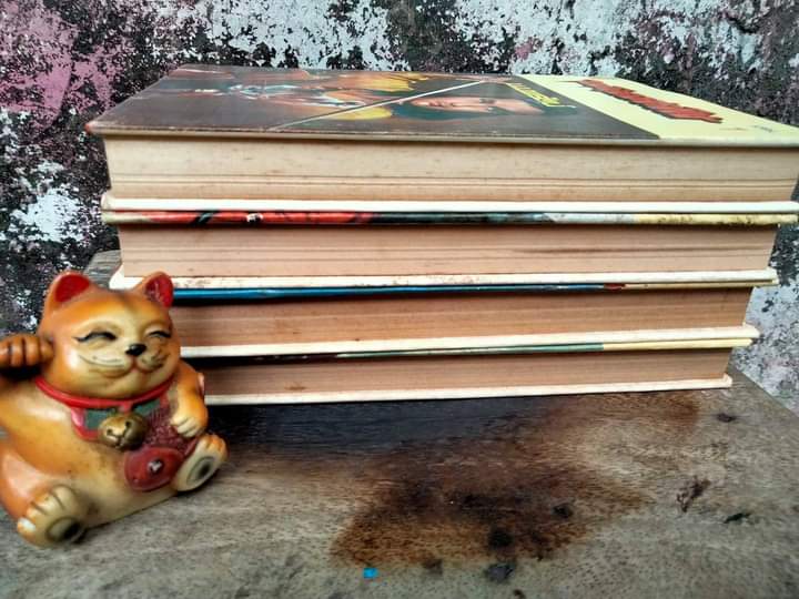 จอมโหดอสรพิษ มือหนึ่ง 4 เล่มจบ