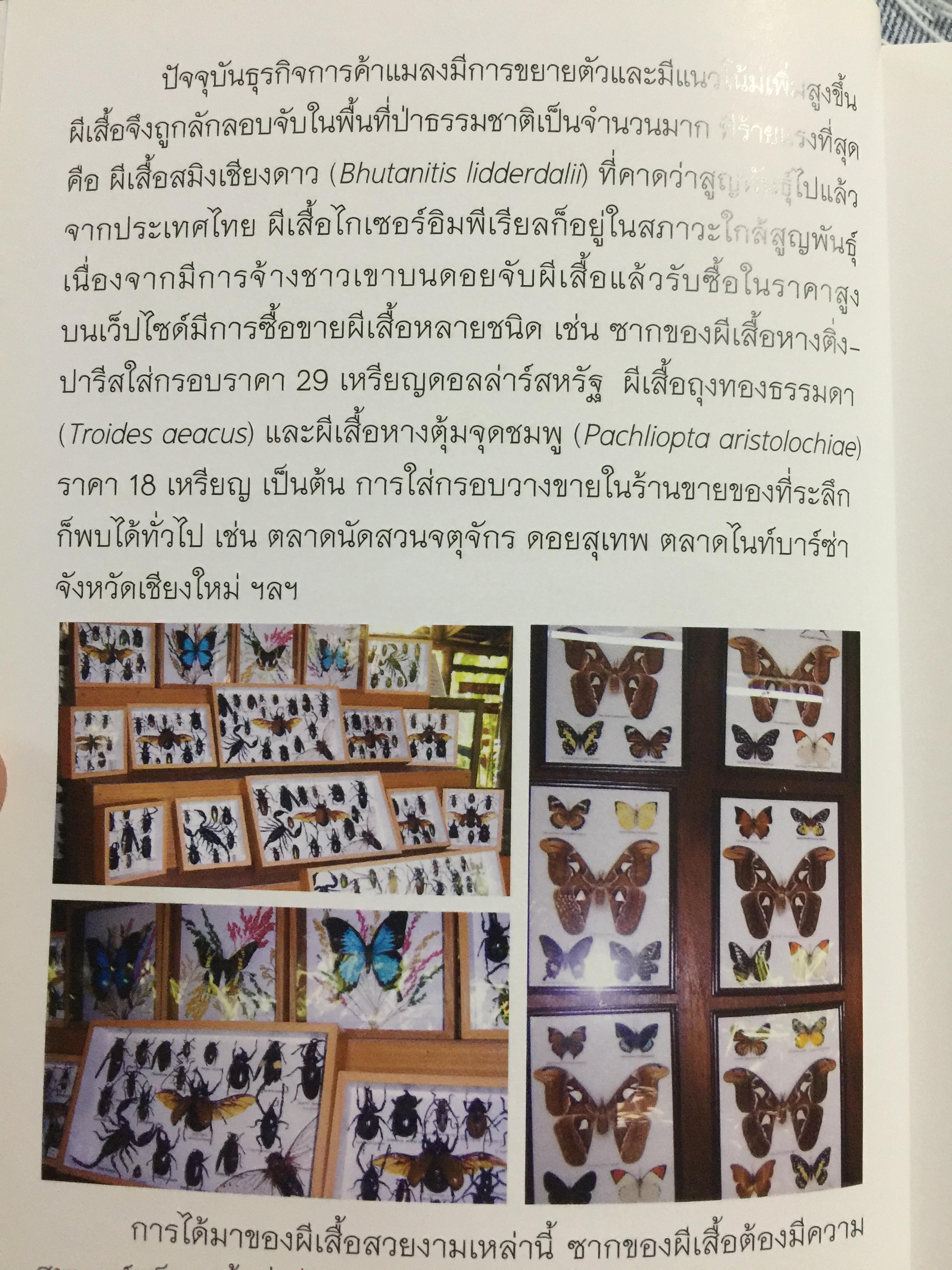 คู่มือการเพาะเลี้ยงผีเสื้อ. จัดทำโดย สำนักวิจัยการอนุรักษ์ป่าไม้และพันธุ์พืช กรมอุทยานแห่งชาติ สัตว์ป่า และพันธุ์พืช 0 กก.