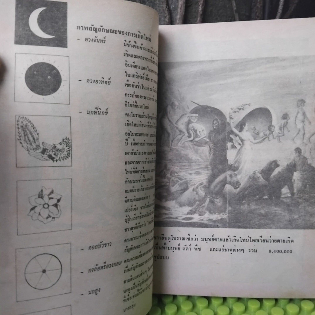 ✅️อ่านหรือสอบถามสภาพหนังสือก่อนตัดสินใจซื้อ ตายแล้วเกิดใหม่กับการระลึกชาติ โดย บรรยง บุญฤทธิ์ พิมพ์แรก ปี29