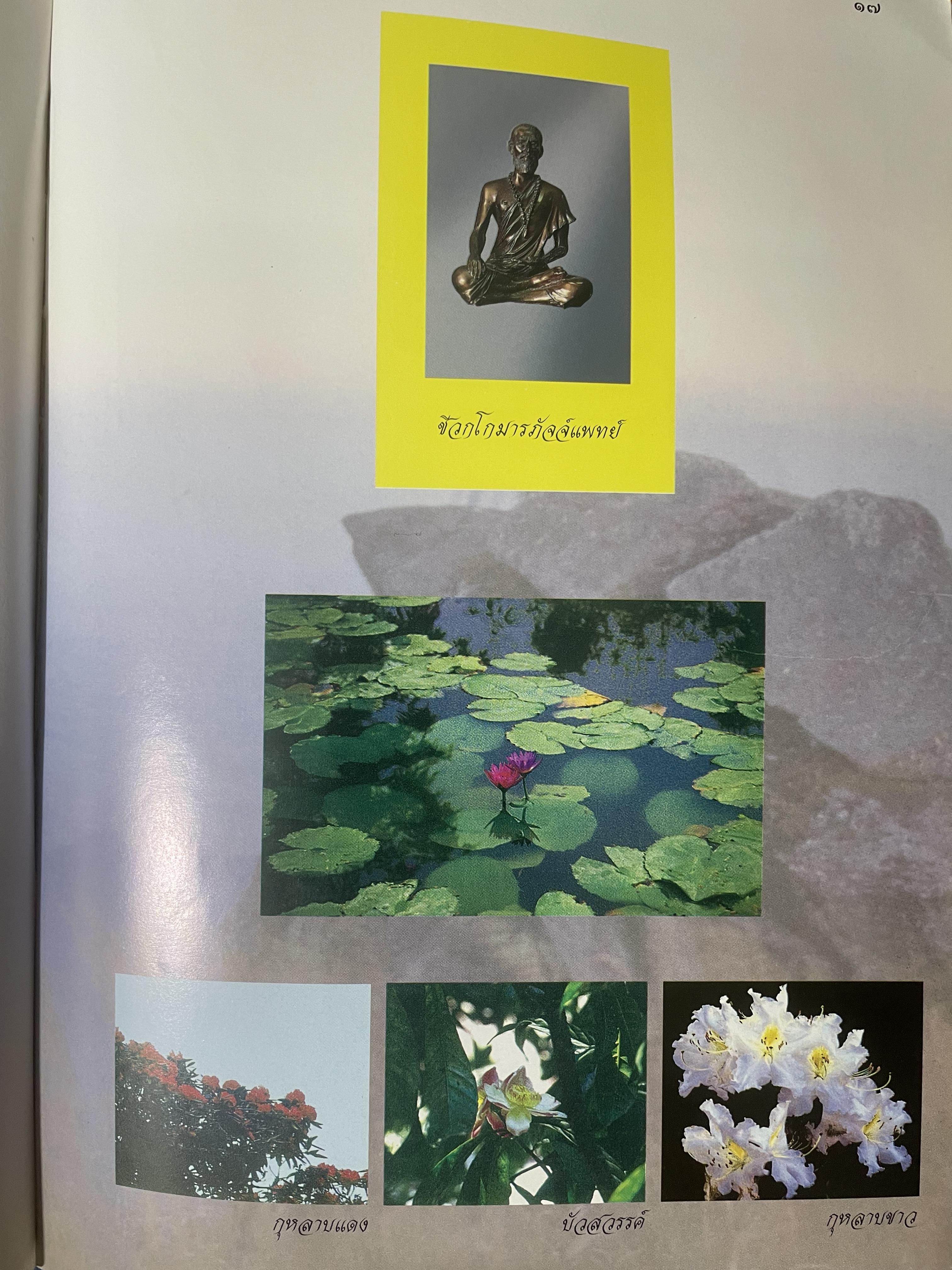 เภสัชกรรมไทยรวมสมุนไพร ฉบับปรับปรุงใหม่ โดน วุฒิ วุฒิธรรมเวช เป็นหนังสือมือสองเล่มใหญ่สภาพดี 4,500 กรัม