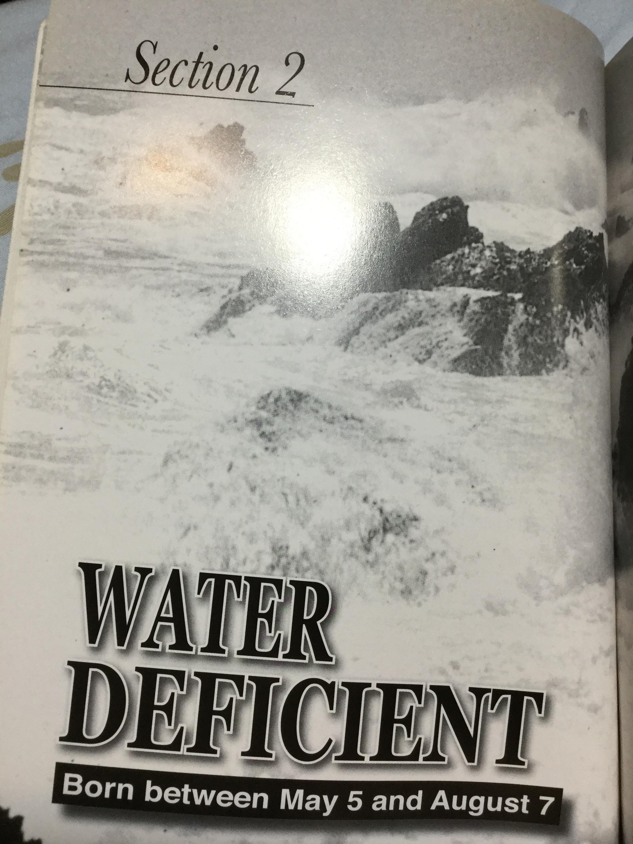 Supplement your Element Deficiency. Master Edward Li Kui Ming. Translated by Lina chan 0 กก.