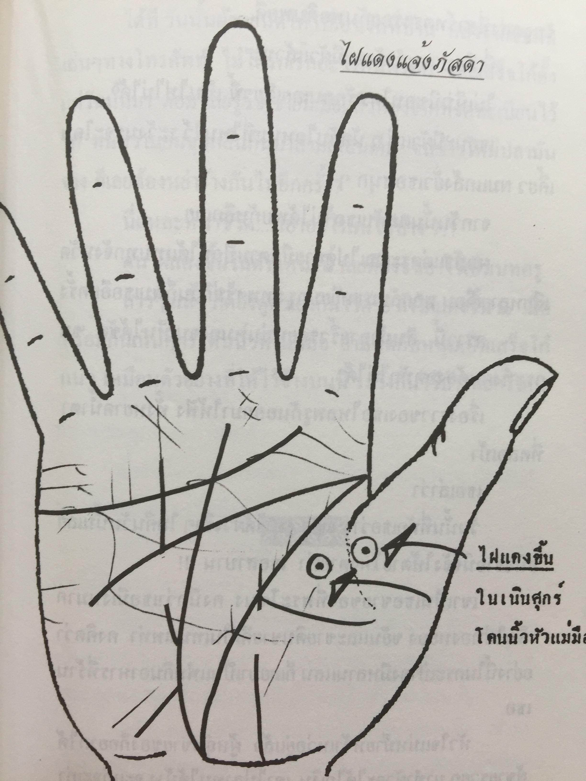 1)ลายมือคือตัวแทนของคุณ. ลักษณ์ เรขานิเทศ 2) แนะลายเส้นบนฝ่ามือ เสน่ห์ ชูกุล. 3)โหรใหญ่คุยเฟื่องเรื่องลายมือ บัญชา เลิศธนู 4) ทำนายลายมือ ทำนายปาน-ไฝ ทายใจ ทำนายอนาคต. ส.วิษณุรักษ์ 0 กก.