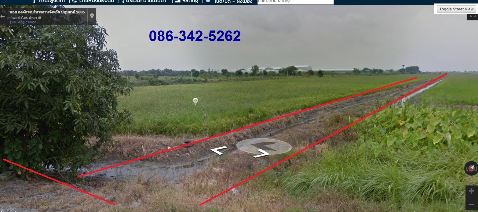 0431 ขายที่ดิน 46 ไร่ ใกล้ถ.ลำลูกกา (คลอง 11) อ.ลำลูกกา ปทุมธานี