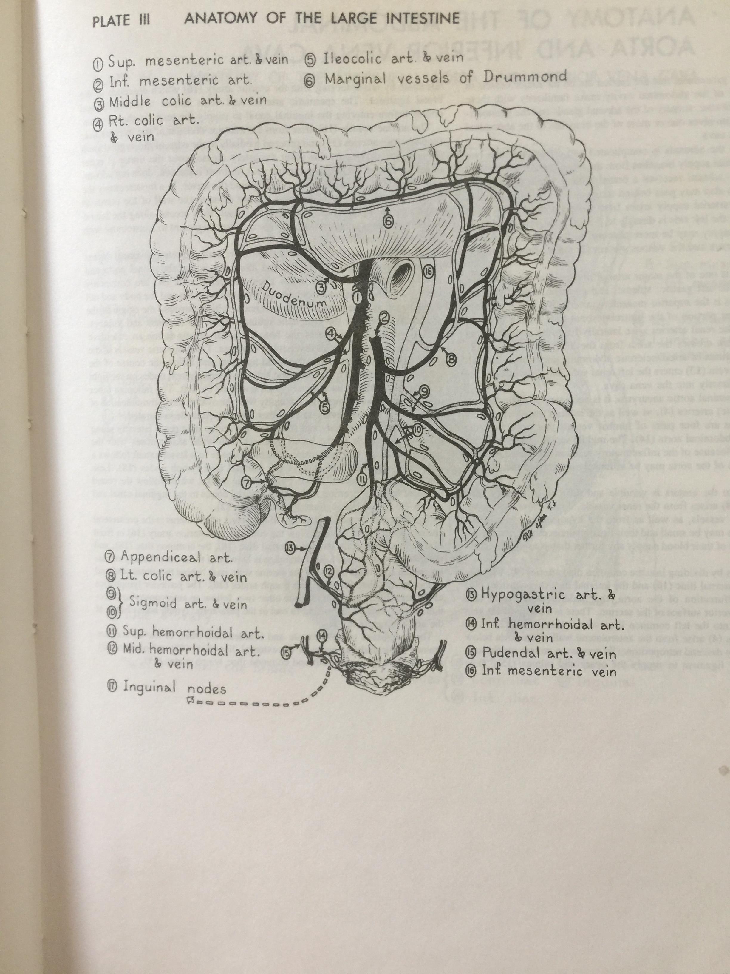 ATLAS OF SURGICAL OPERATIONS. ผู้เขียน ZOLLINGER / ZOLLINGER 0 กก.
