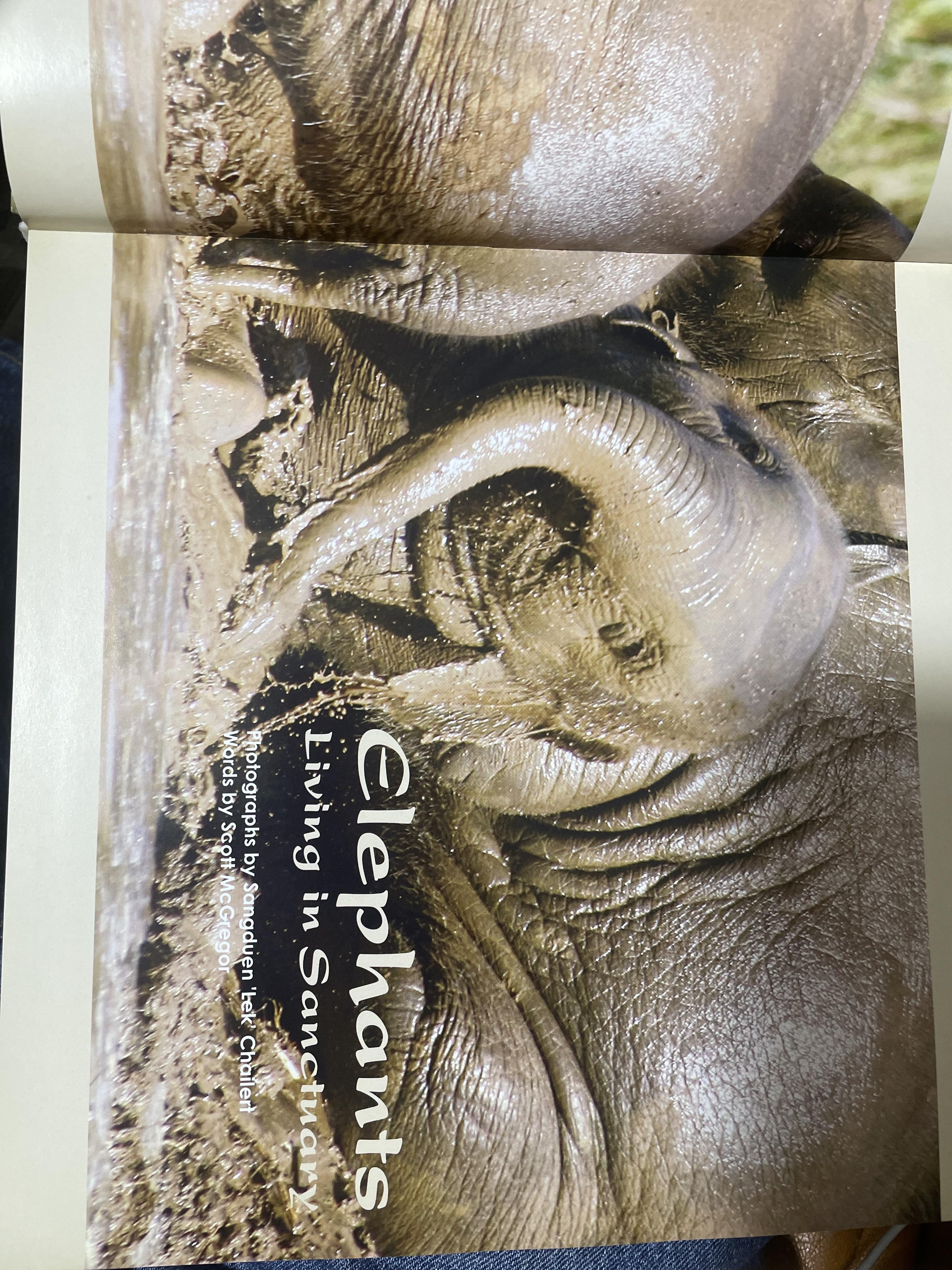 Elephants Living in Sanctuary 3 กก.