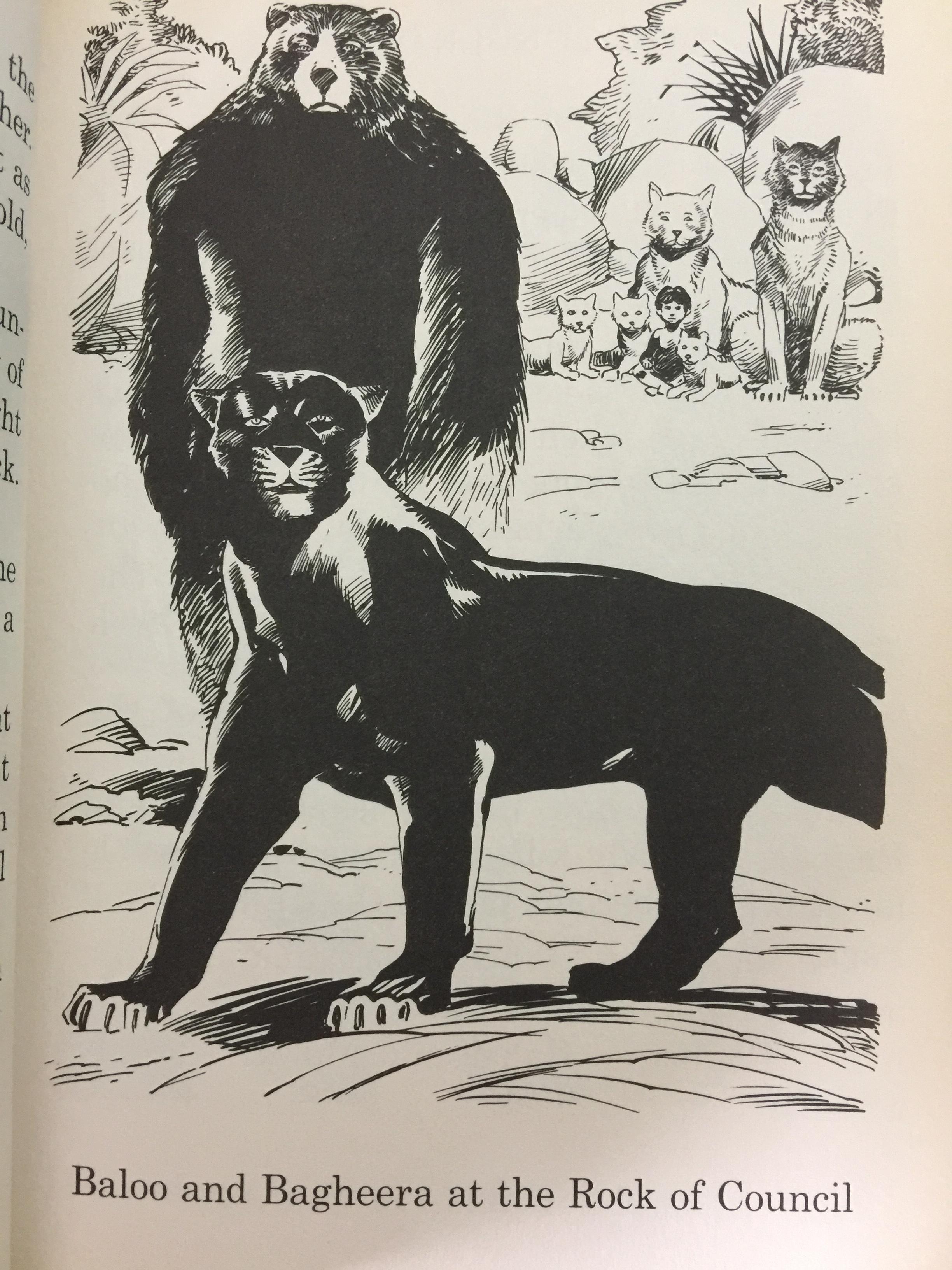 THE JUNGLE BOOK. Great Illustrated Classics. ผู้เขียน Rudyard Kipling 0 กก.