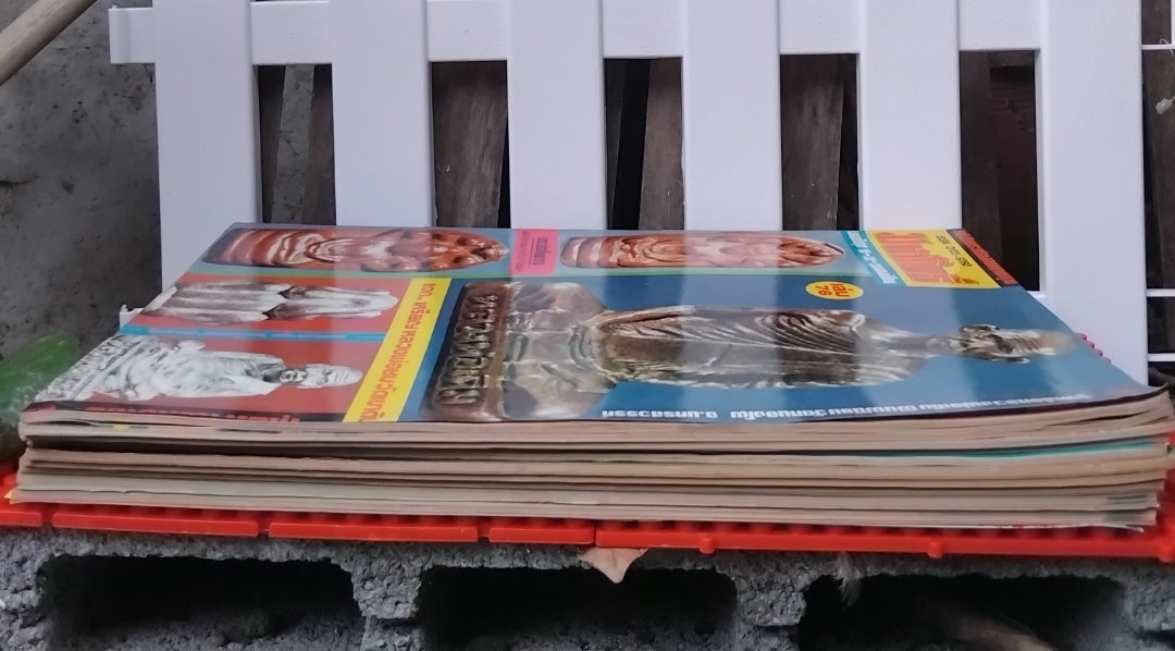 หนังสือพระเครื่อง มหาโพธิ์ ฉบับ 76,77,79,81,89,108,121,214,228และ238 ปี 2528-2531 มือ1 จากโกดัง