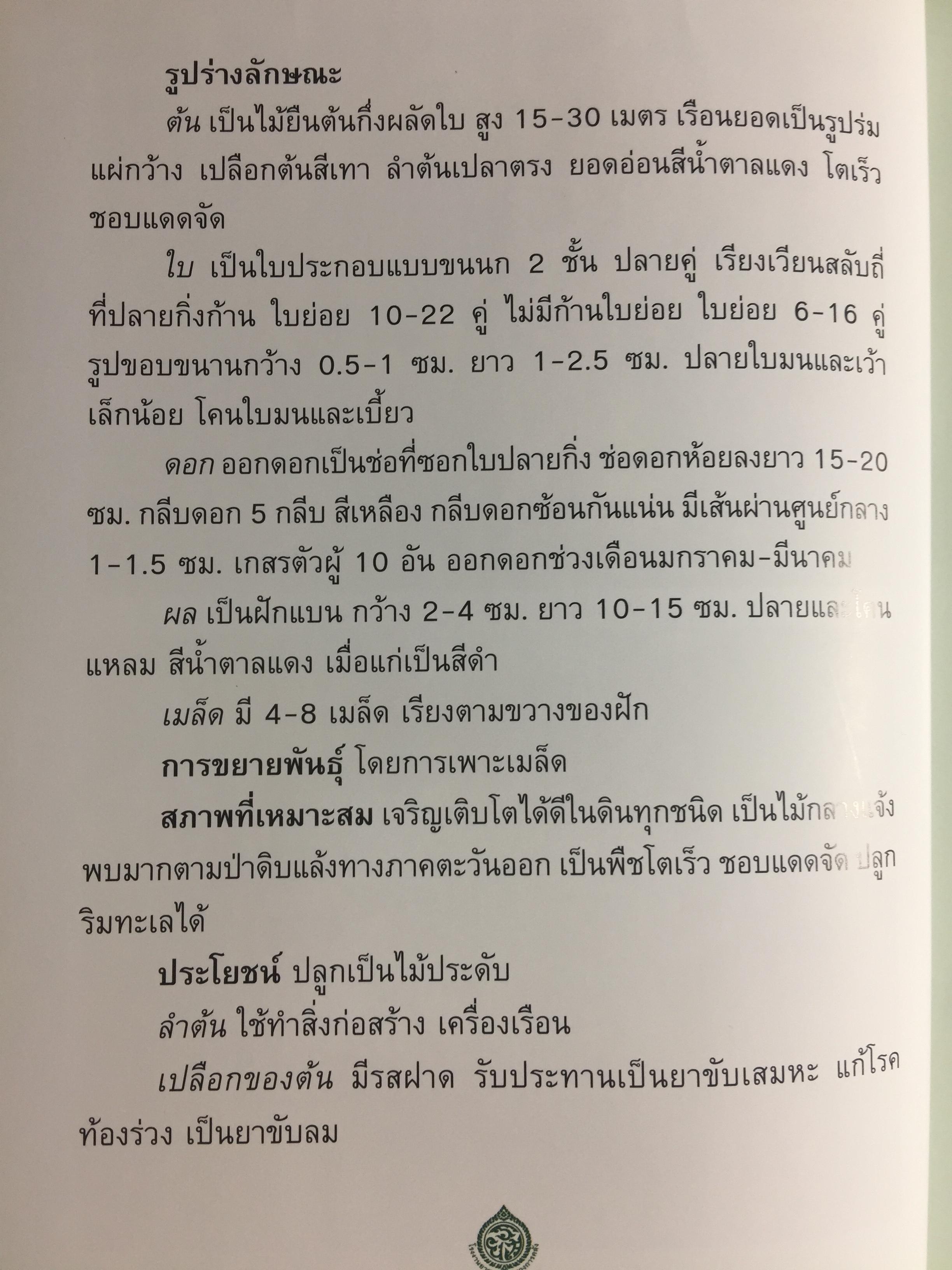 ยาสูบไทย หัวใจสีเขียว. พรรณไม้มงคลประจำจังหวัด สวนป่าเบญจกิติ 0 กก.