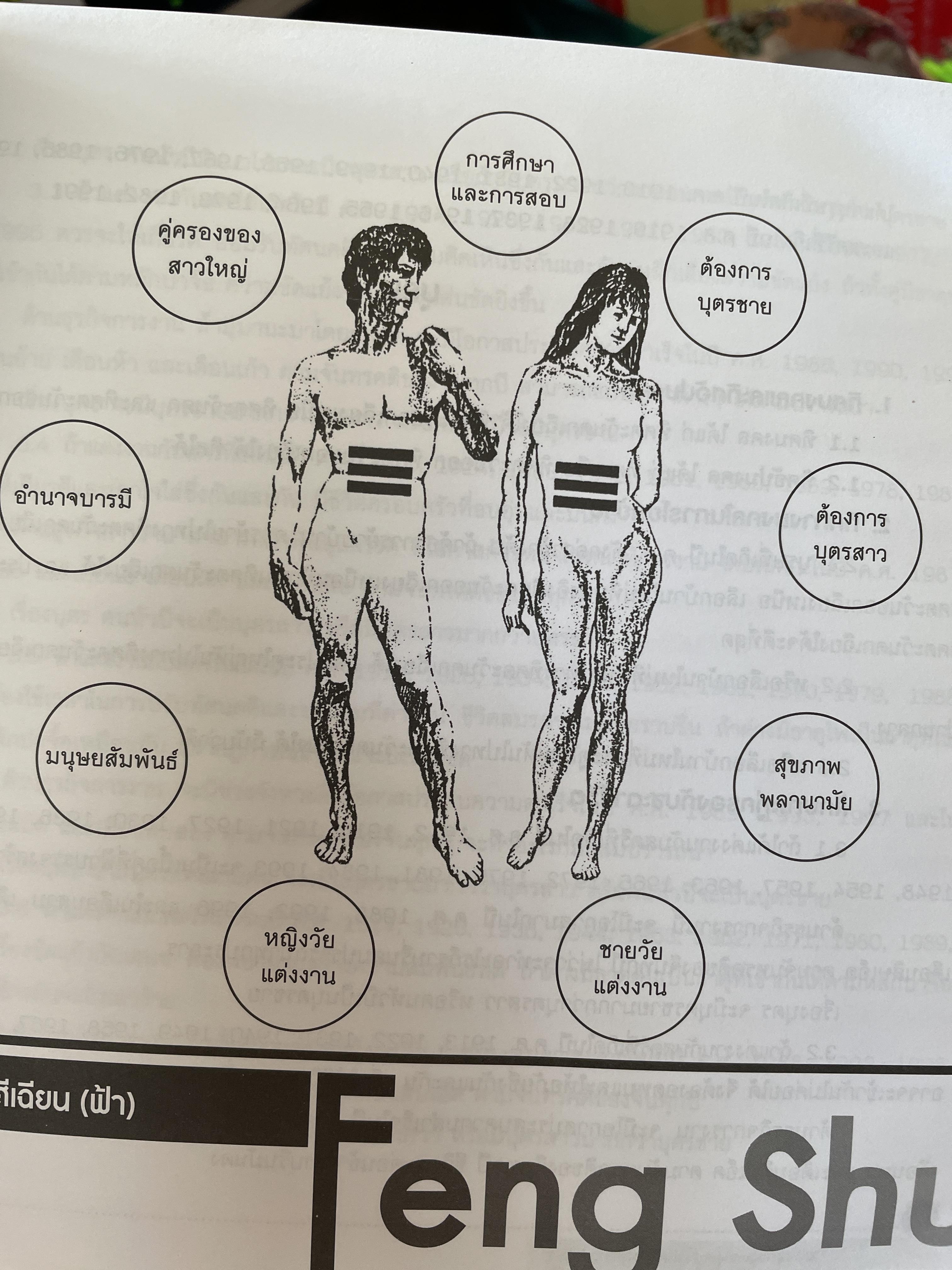 ฮวงจุ้ย ฉบับสมบูรณ์ ศาสตร์แห่งความสำเร็จ การออกแบบฮวงจุ้ยบ้าน เพื่อความสำเร็จในชีวิต CHINESE GEOMANCY. พลิกโชคชะตาให้ดีขึ้นจากคู่มือที่สามารถทำได้ด้วยตนเอง ผู้เขียน หลี่เหยินซุยและคณะ 1,800 กรัม