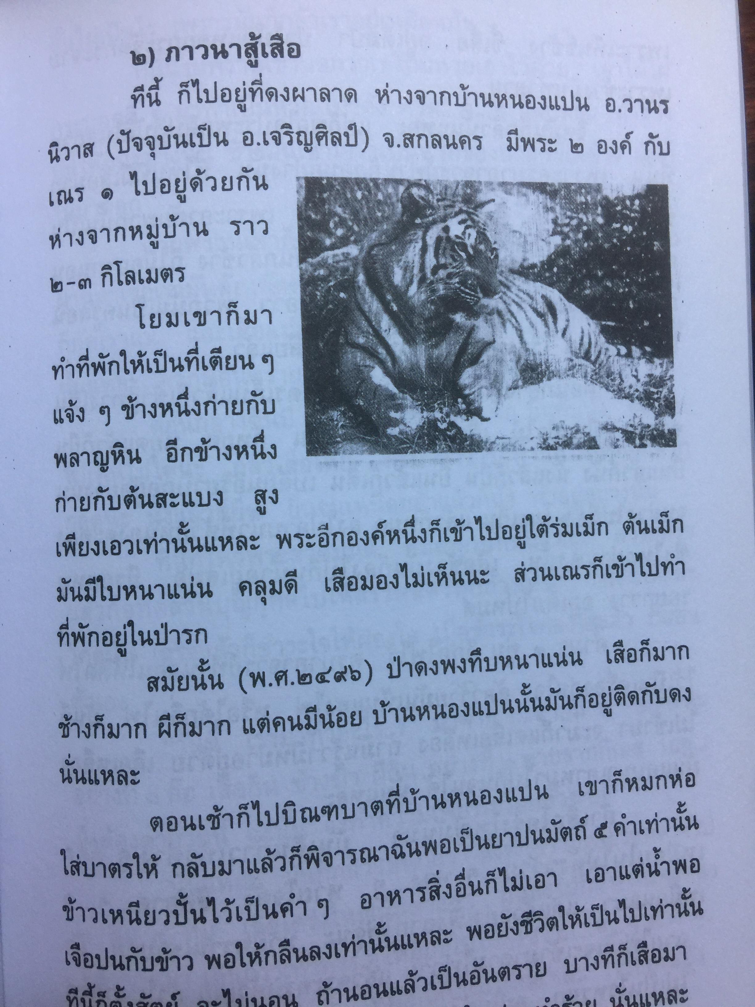 90 ปี หลวงปู่จันทา ถาวโร. วัดป่าเขาน้อย จ.พิจิตร 0 กก.