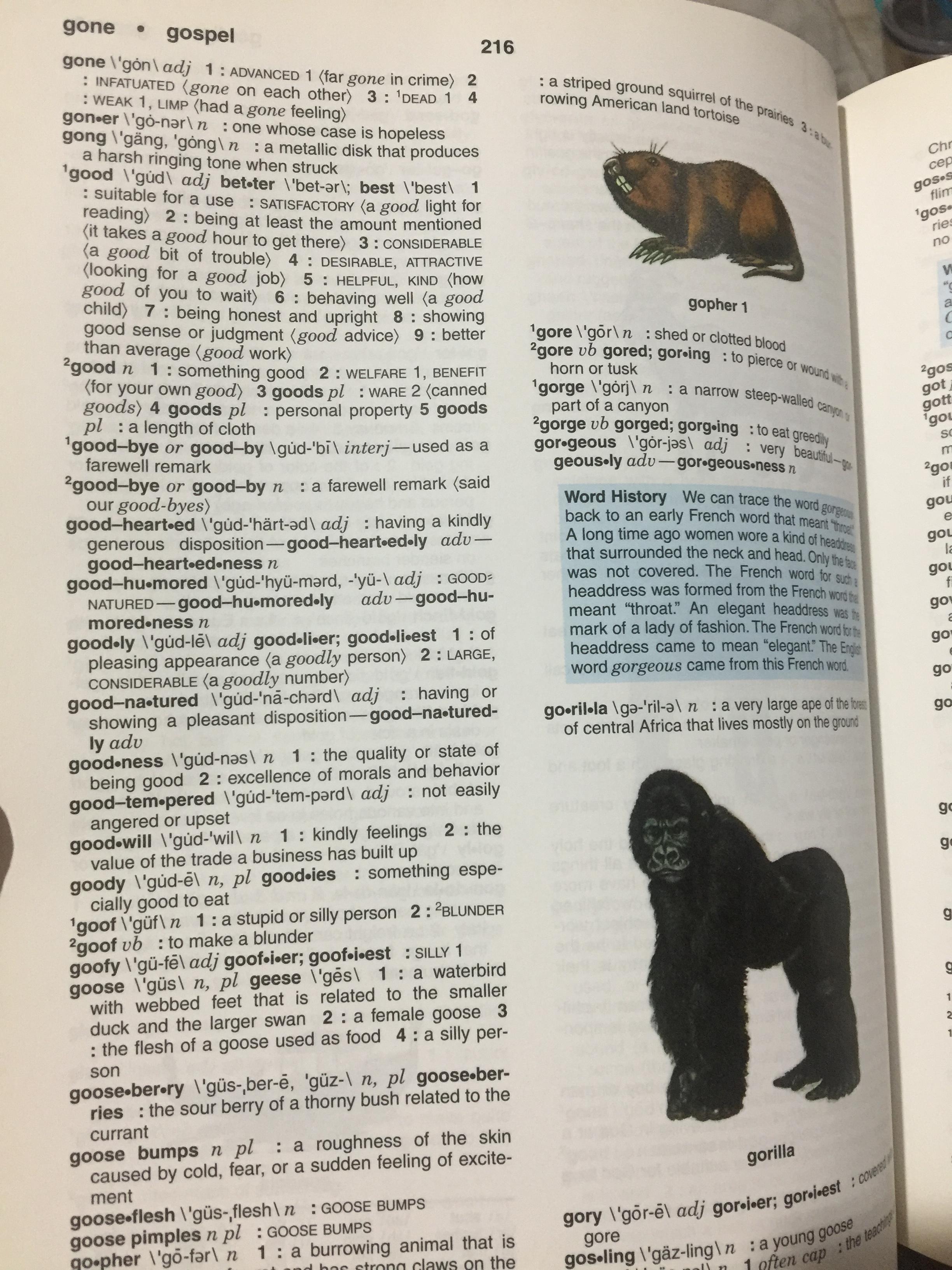 Merriam -Webster ‘ s Elementalry Dictionary 0 กก.