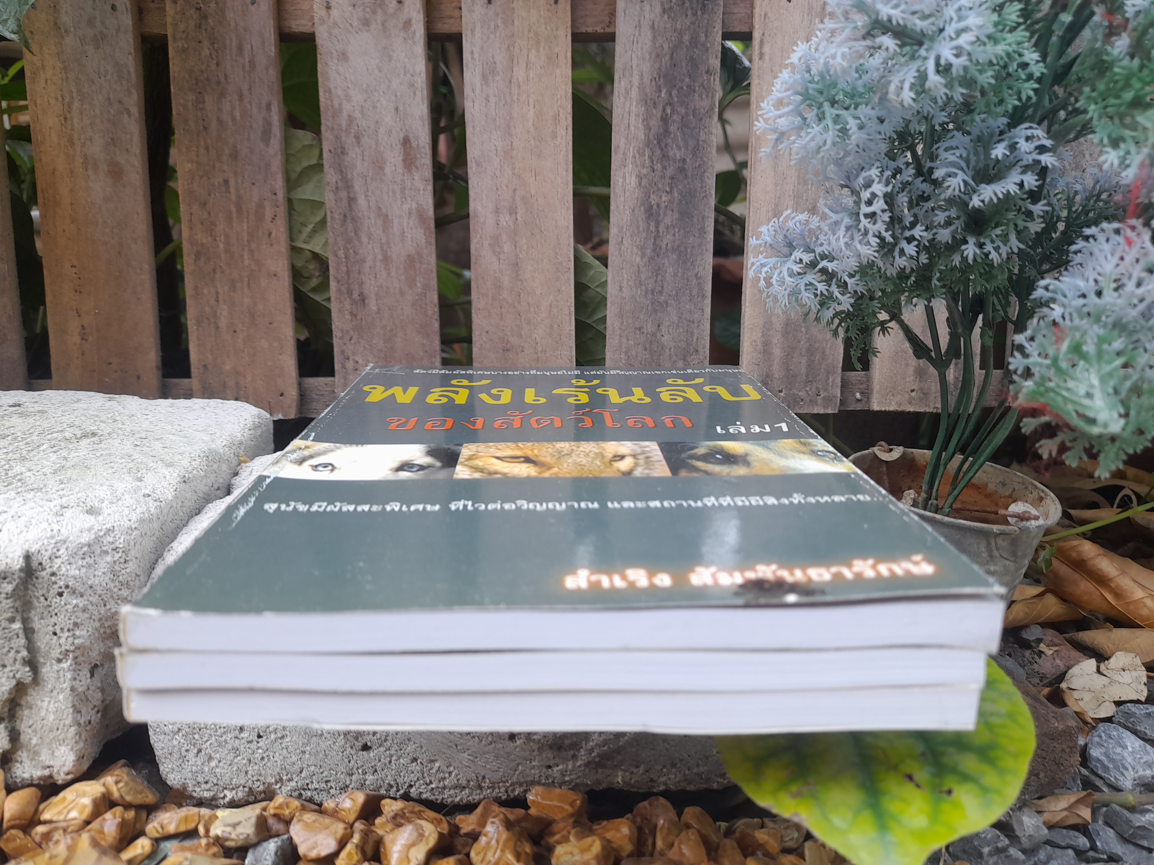 พลังเร้นลับของสัตว์โลก เล่ม : 1-2-3