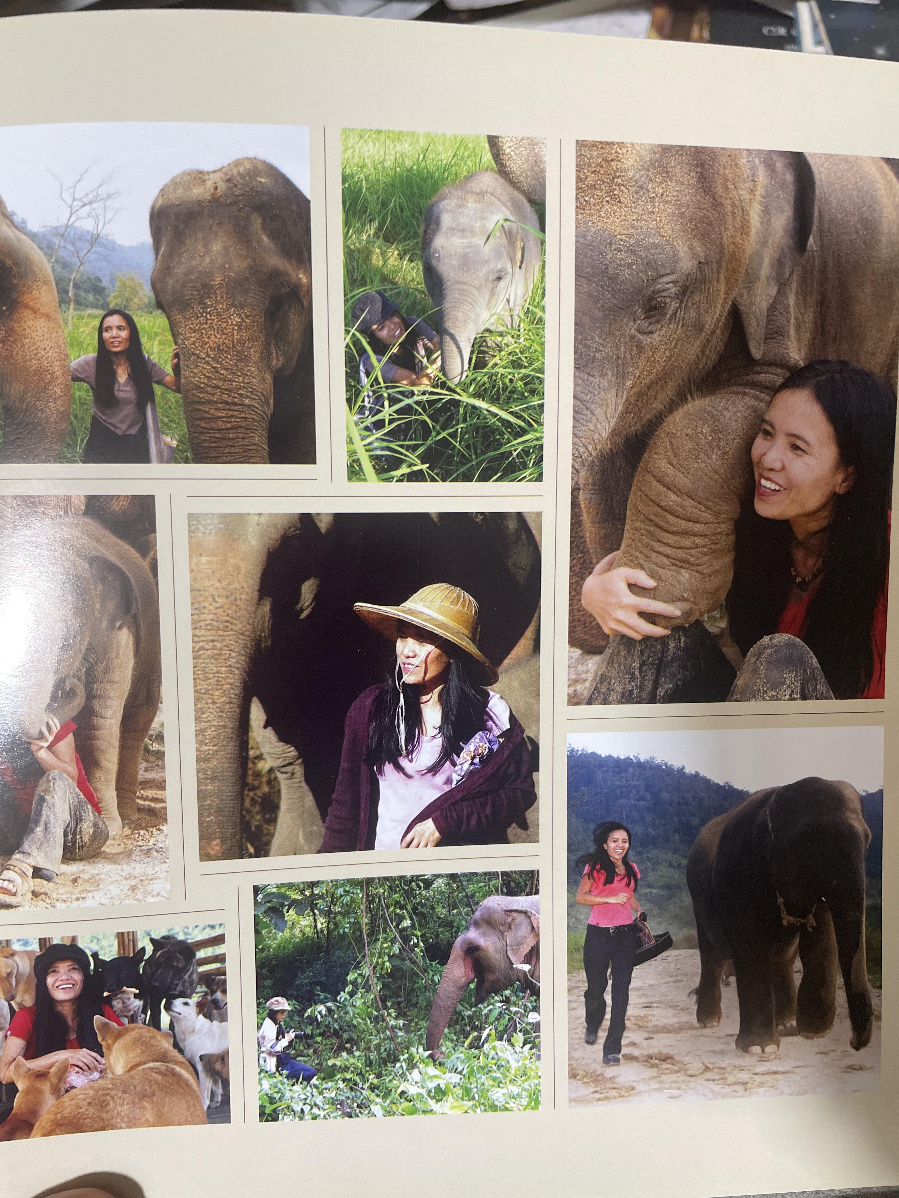 Elephants Living in Sanctuary 3 กก.