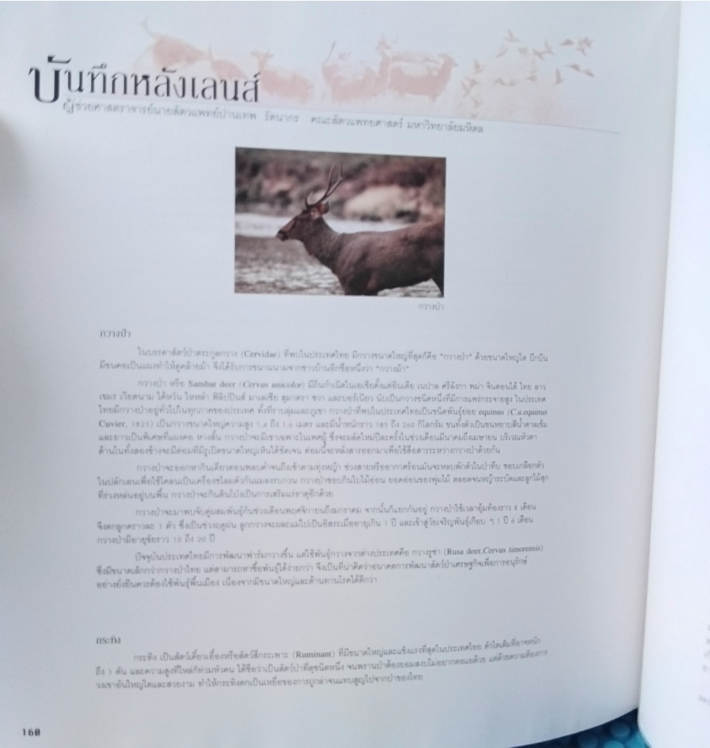 ชีพจรไพร SPIRIT OF THE JUNGLE โดย ม.ล.ปริญญากร วรวรรณ สารคดีภาพชีวิตสัตว์ป่า มือ1 ปกแข็งสภาพดี